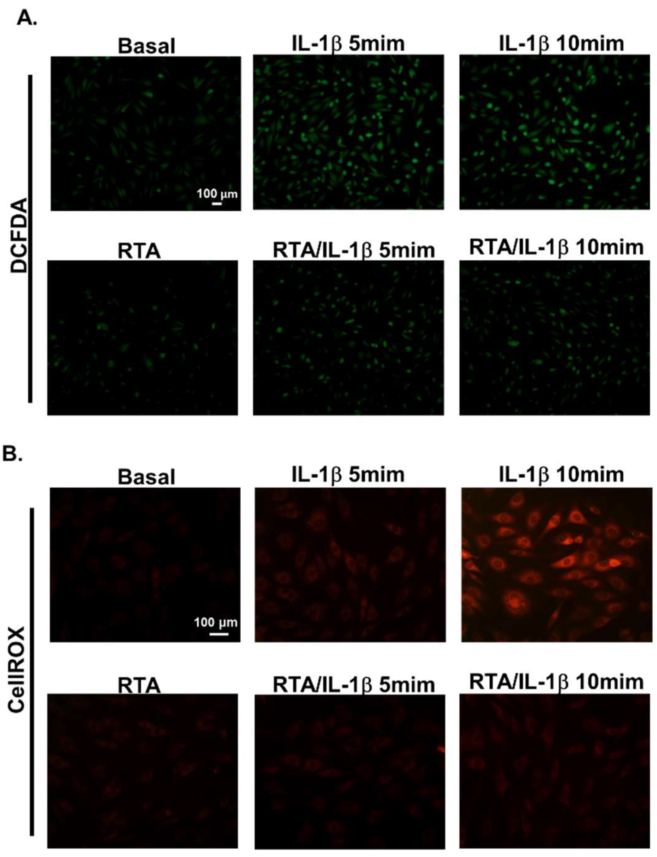 Ijms 20 02826 g003 Ijms 20 02826 g003