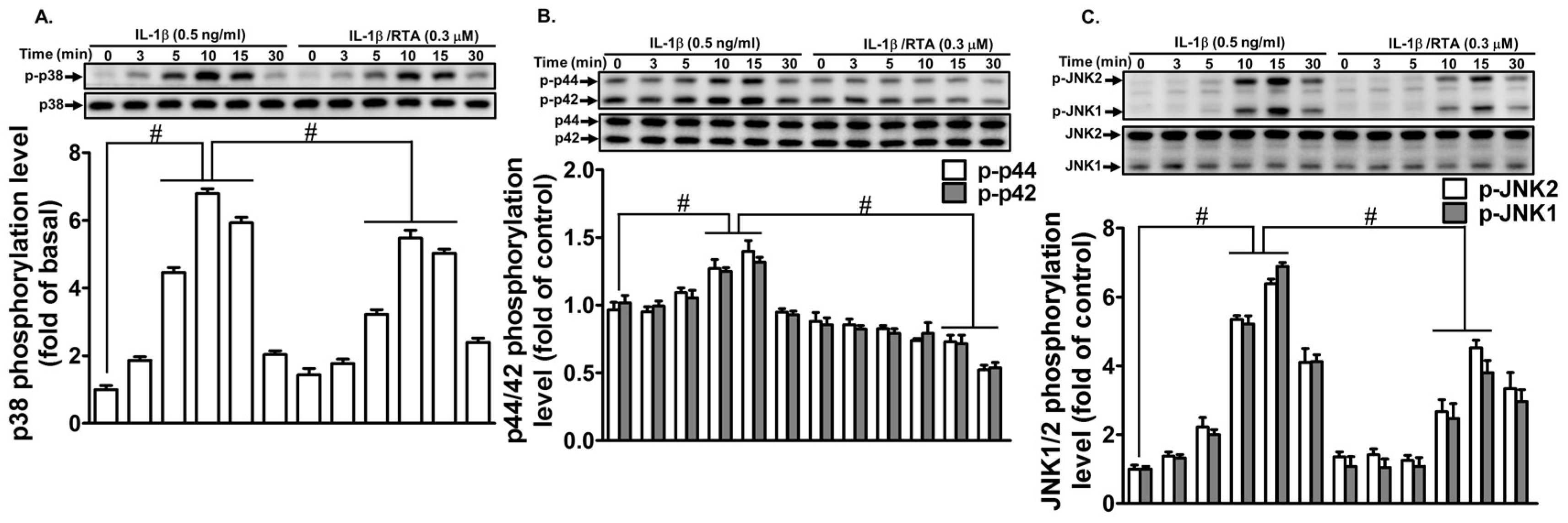 Ijms 20 02826 g004 Ijms 20 02826 g004