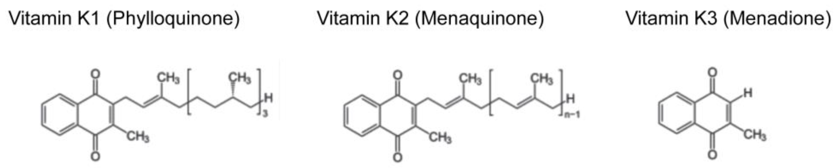 Ijms Free Full Text Multiple Modes Of Vitamin K Actions