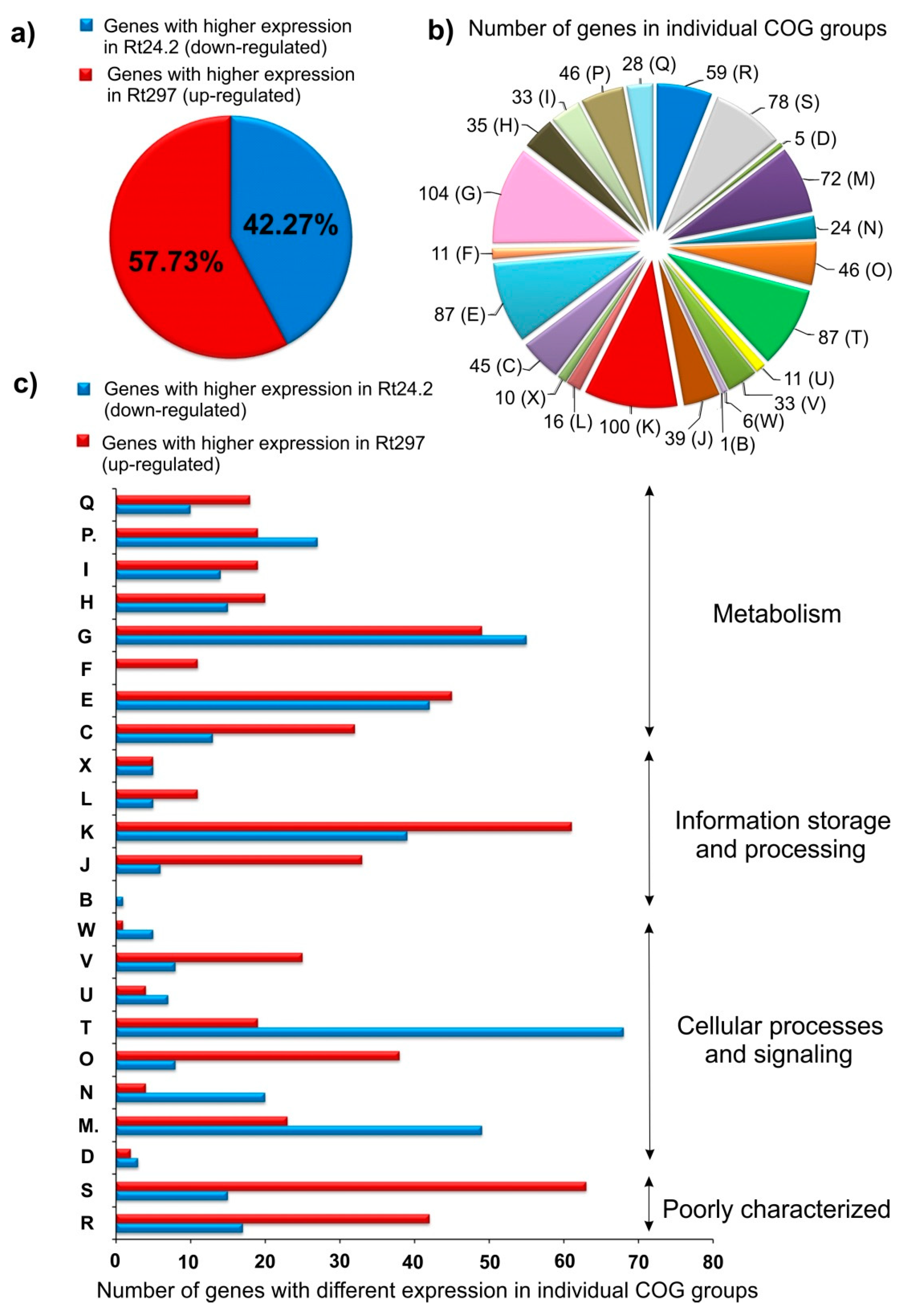 Ijms Free Full Text Transcriptomic Studies Reveal That The Rhizobium Leguminosarum Serine Threonine Protein Phosphatase Pssz Has A Role In The Synthesis Of Cell Surface Components Nutrient Utilization And Other Cellular Processes