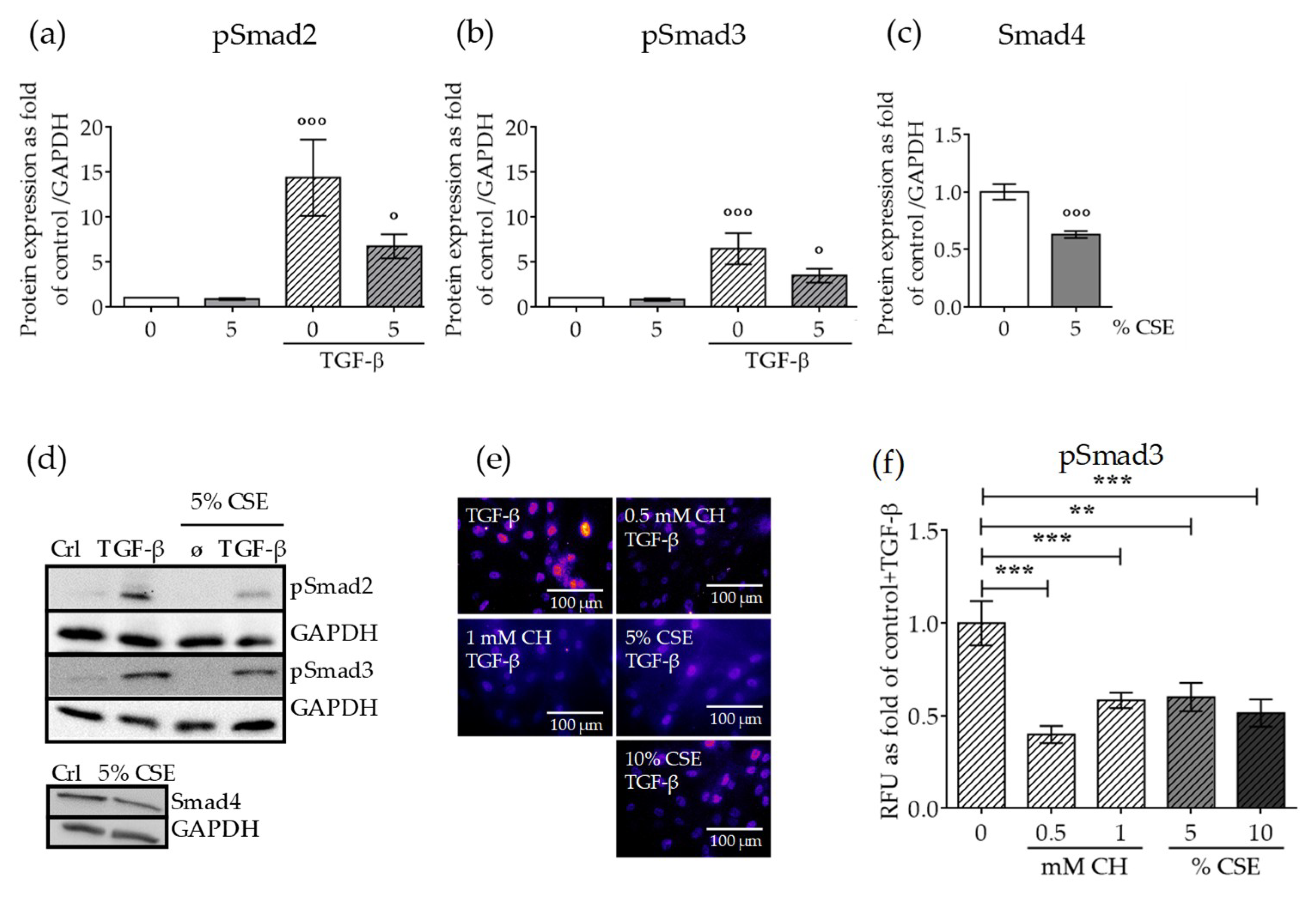 Ijms Free Full Text Cigarette Smoke Induces The Risk Of Metabolic Bone Diseases Transforming Growth Factor Beta Signaling Impairment Via Dysfunctional Primary Cilia Affects Migration Proliferation And Differentiation Of Human Mesenchymal