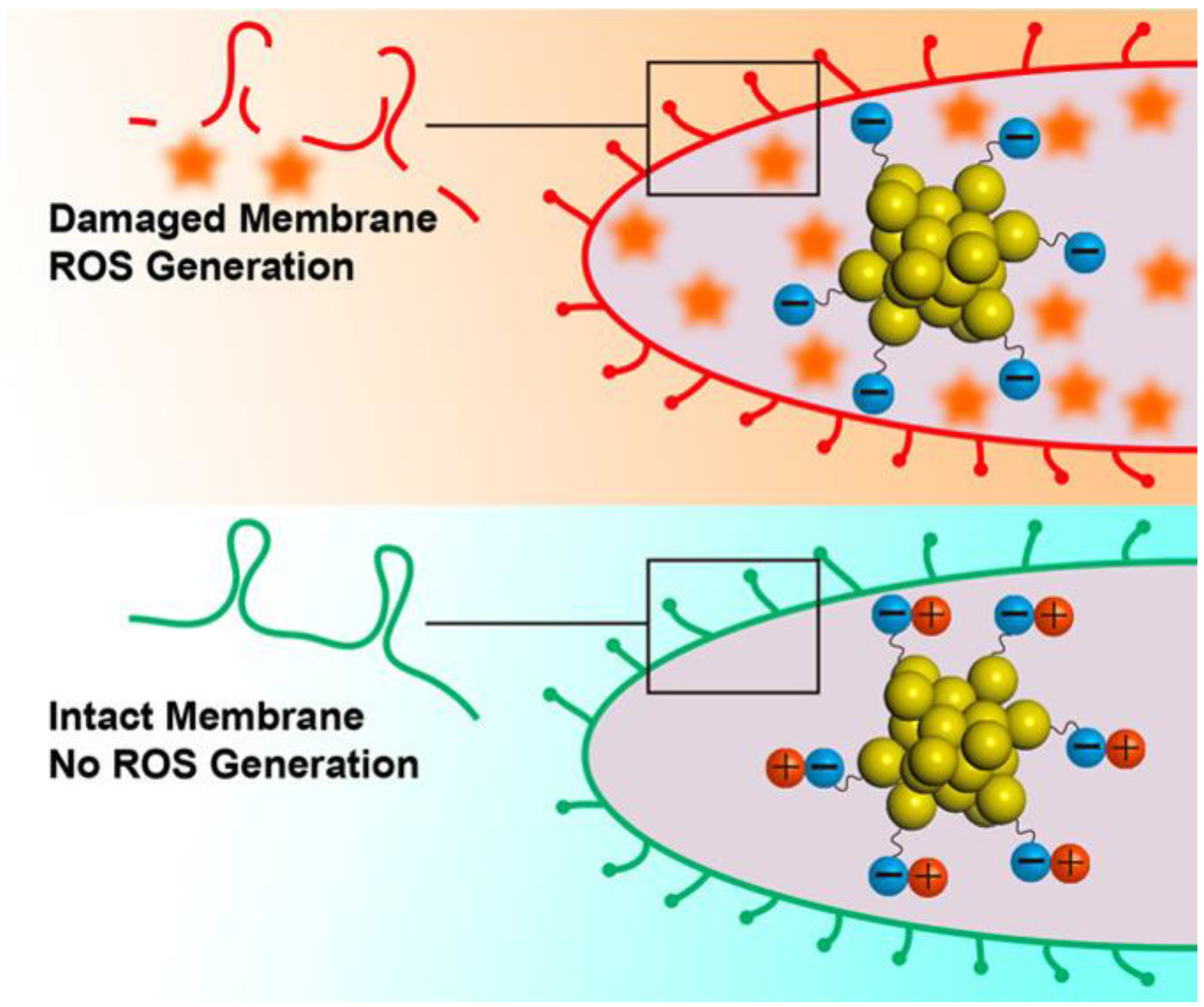 Ijms 20 02924 g006 Ijms 20 02924 g006