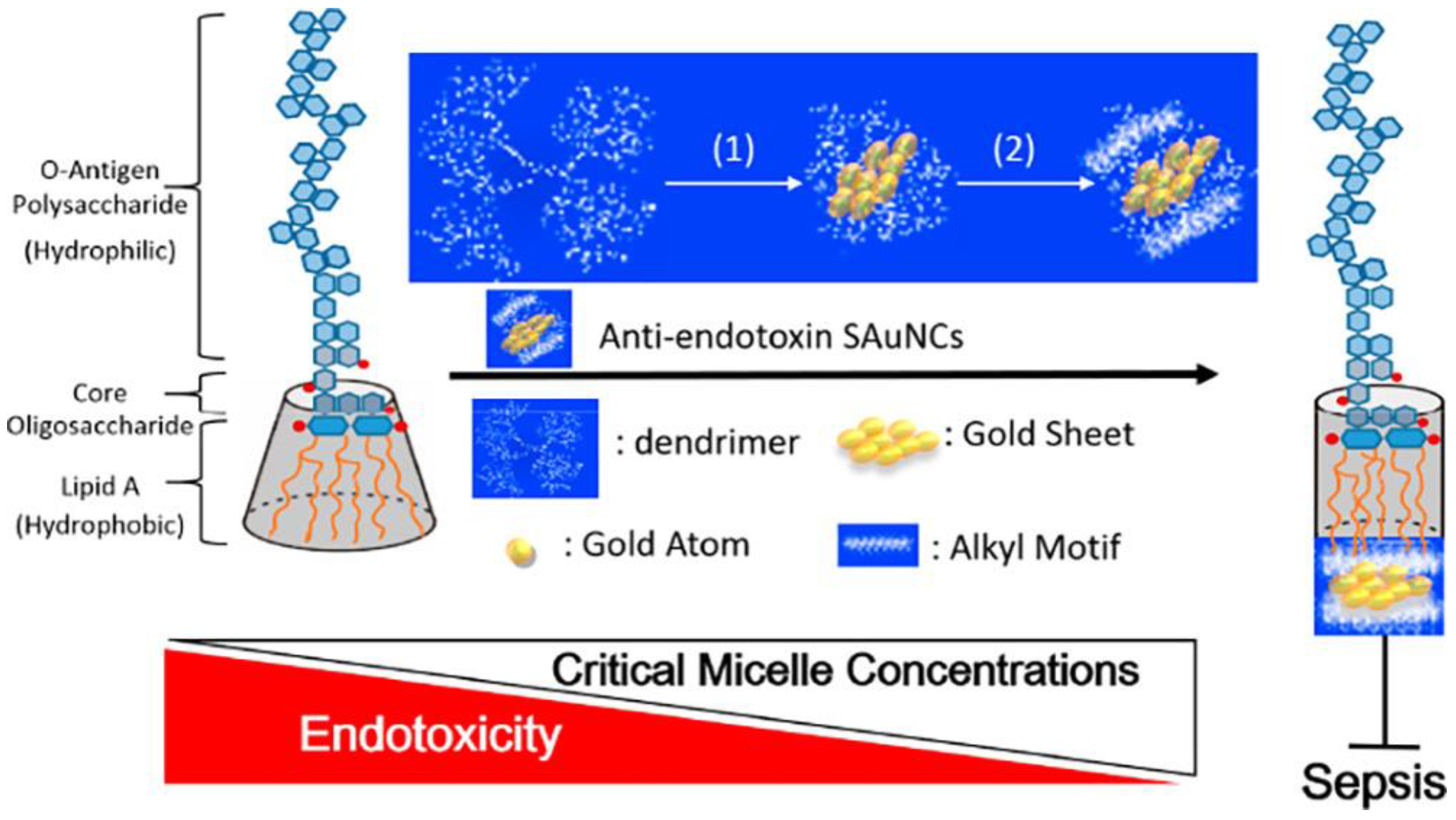 Ijms 20 02924 g009 Ijms 20 02924 g009