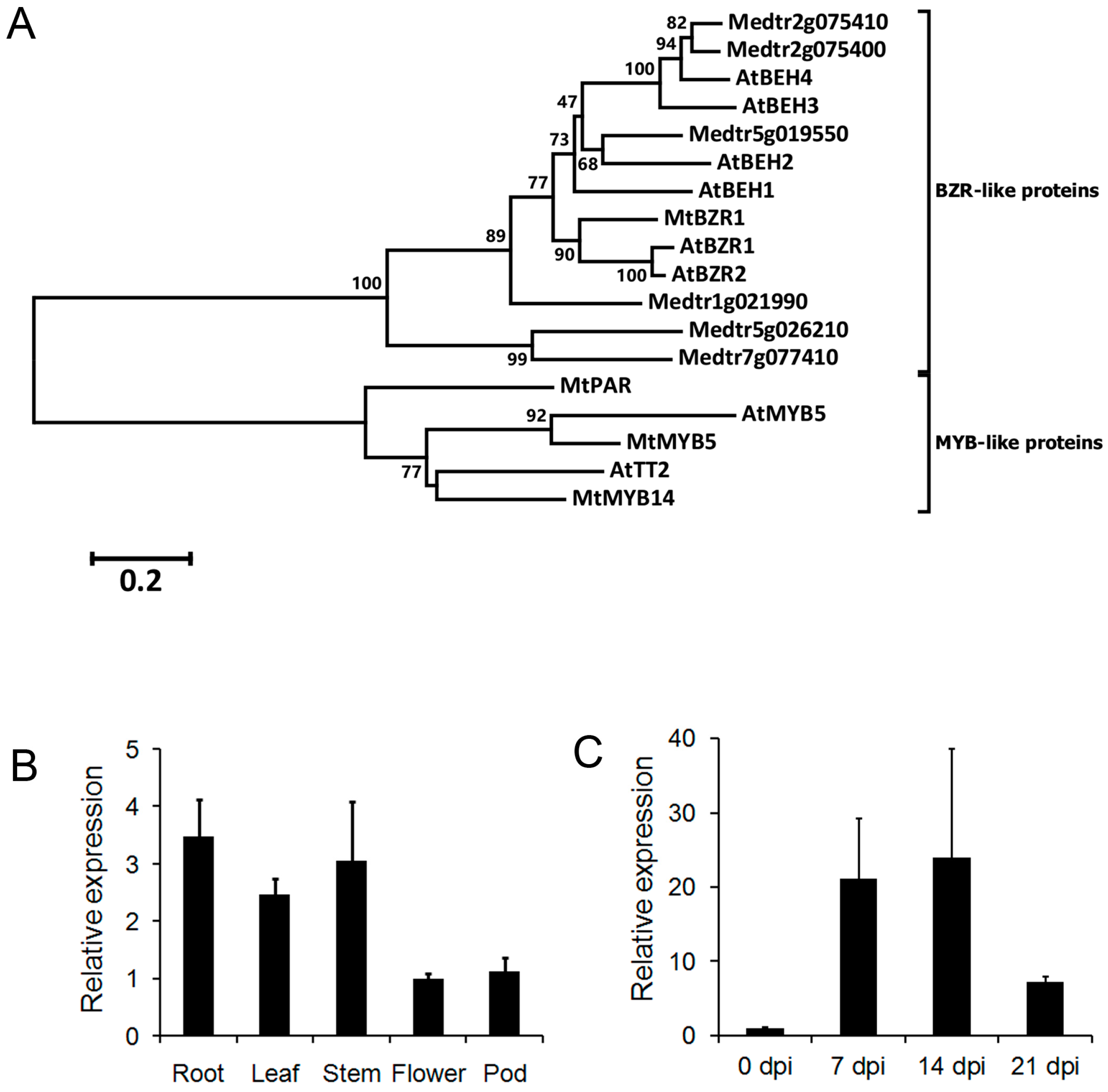 Ijms 20 02941 g001 Ijms 20 02941 g001