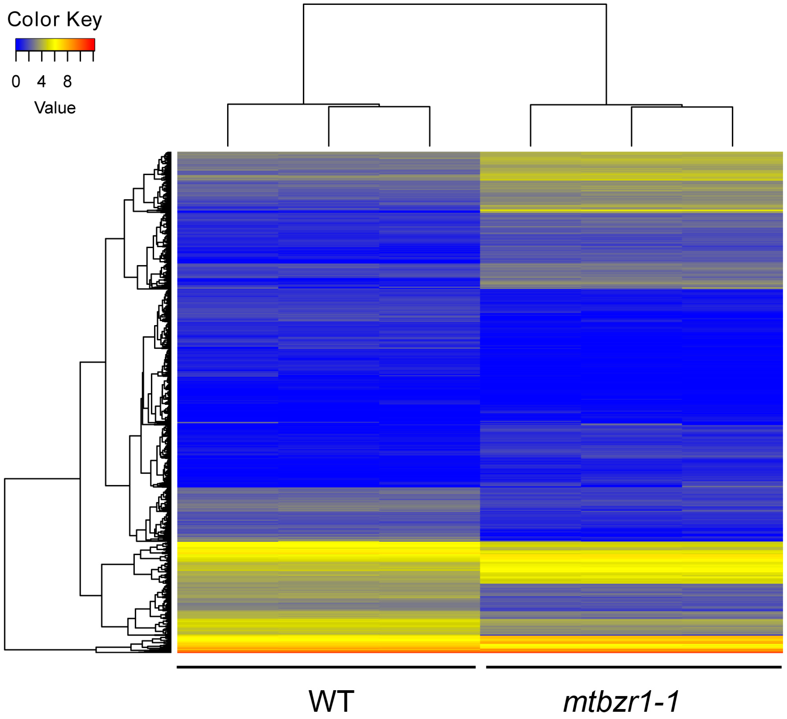 Ijms 20 02941 g005 Ijms 20 02941 g005