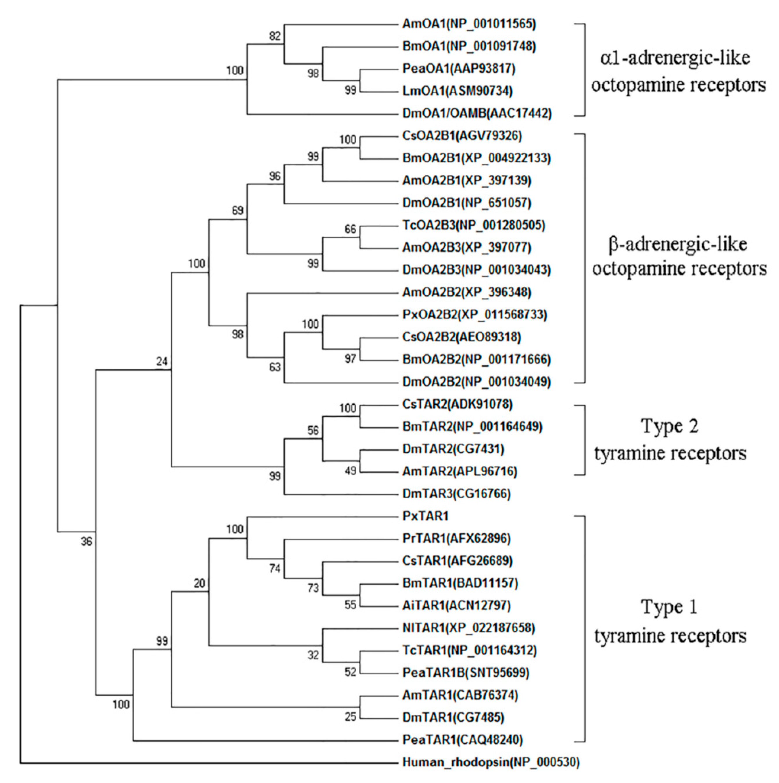 Ijms 20 02953 g002 Ijms 20 02953 g002