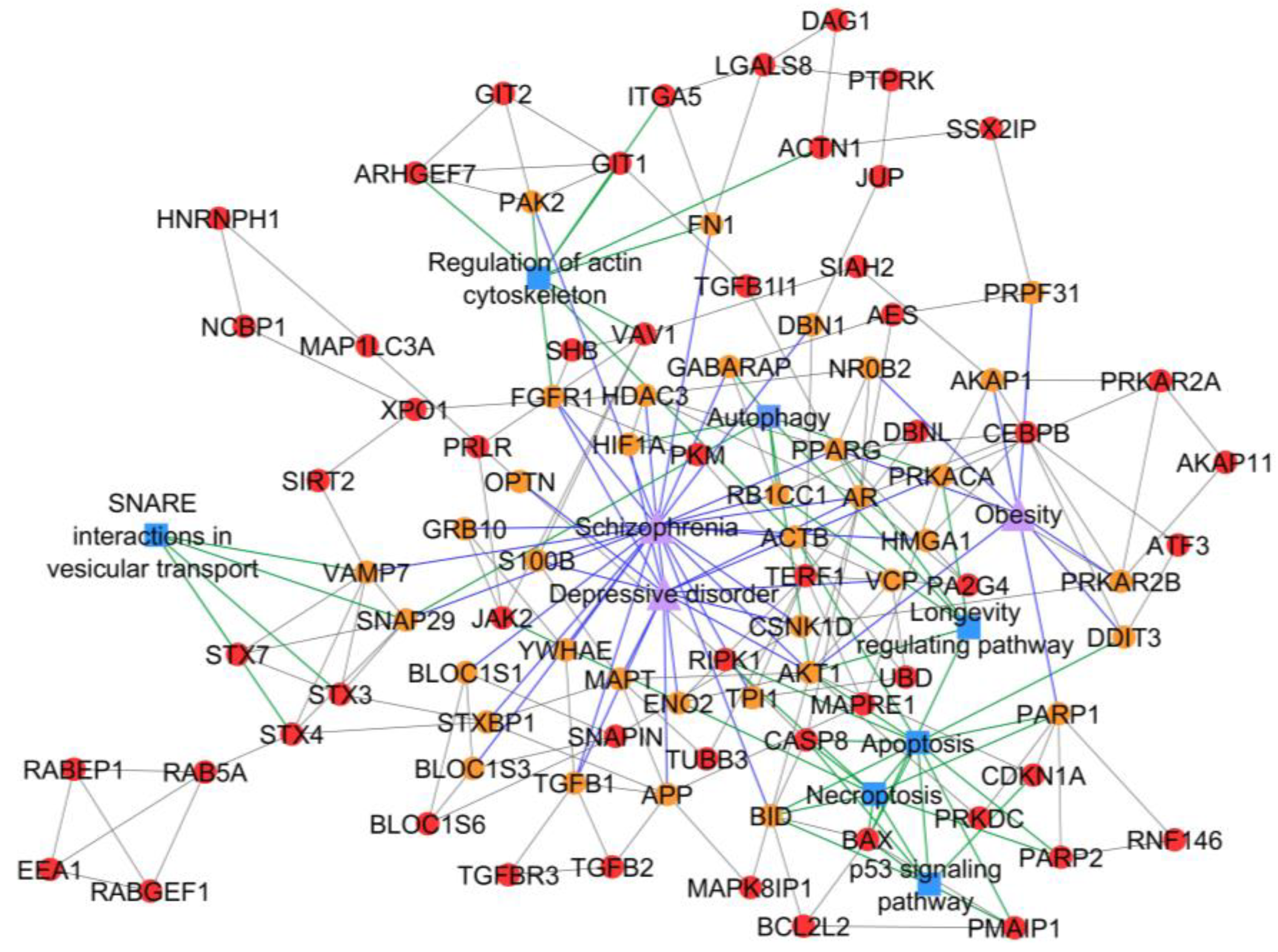 Ijms 20 02959 g005 Ijms 20 02959 g005