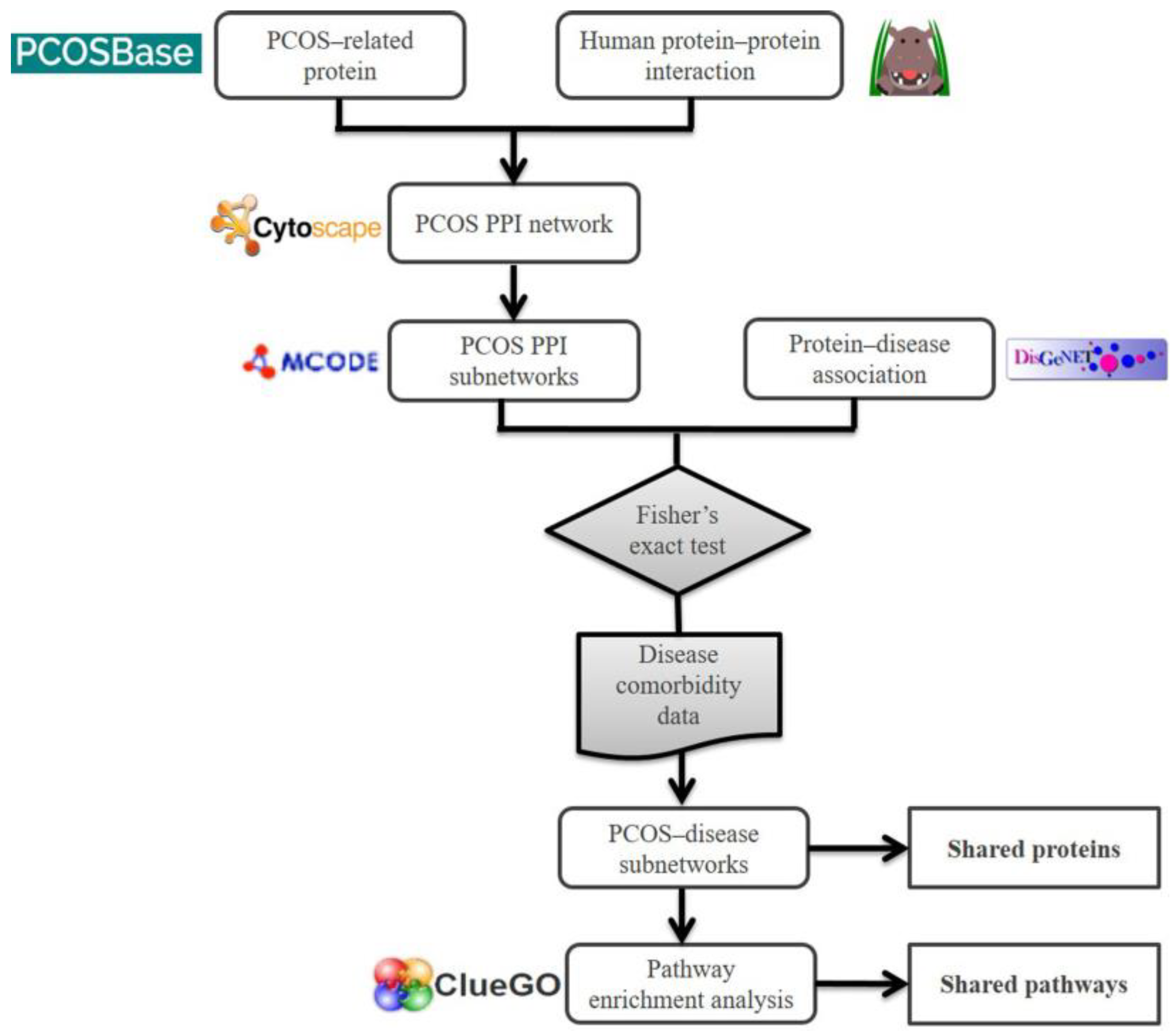 Ijms 20 02959 g007 Ijms 20 02959 g007