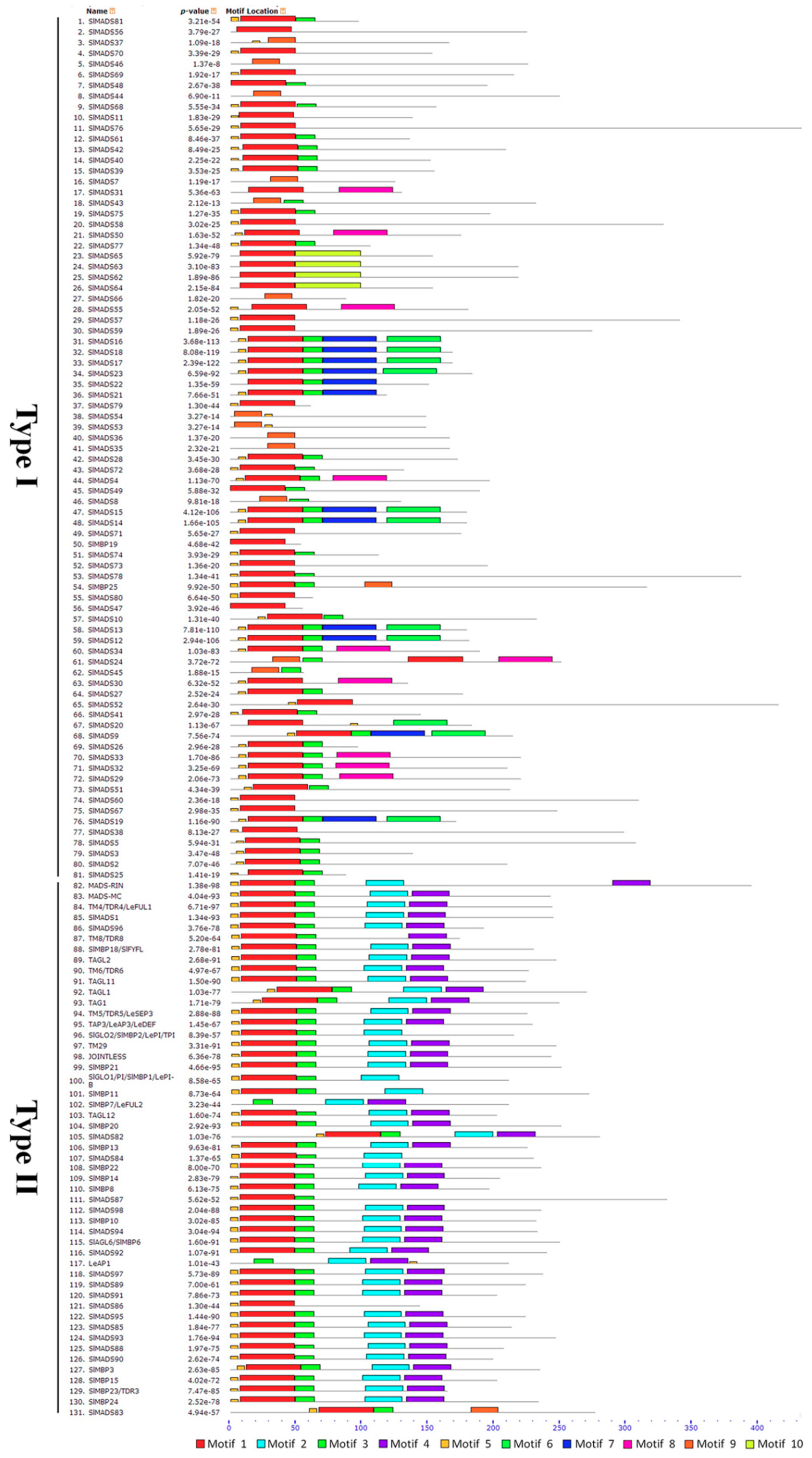 IJMS | Free Full-Text | Genome-Wide Analysis of the MADS-Box