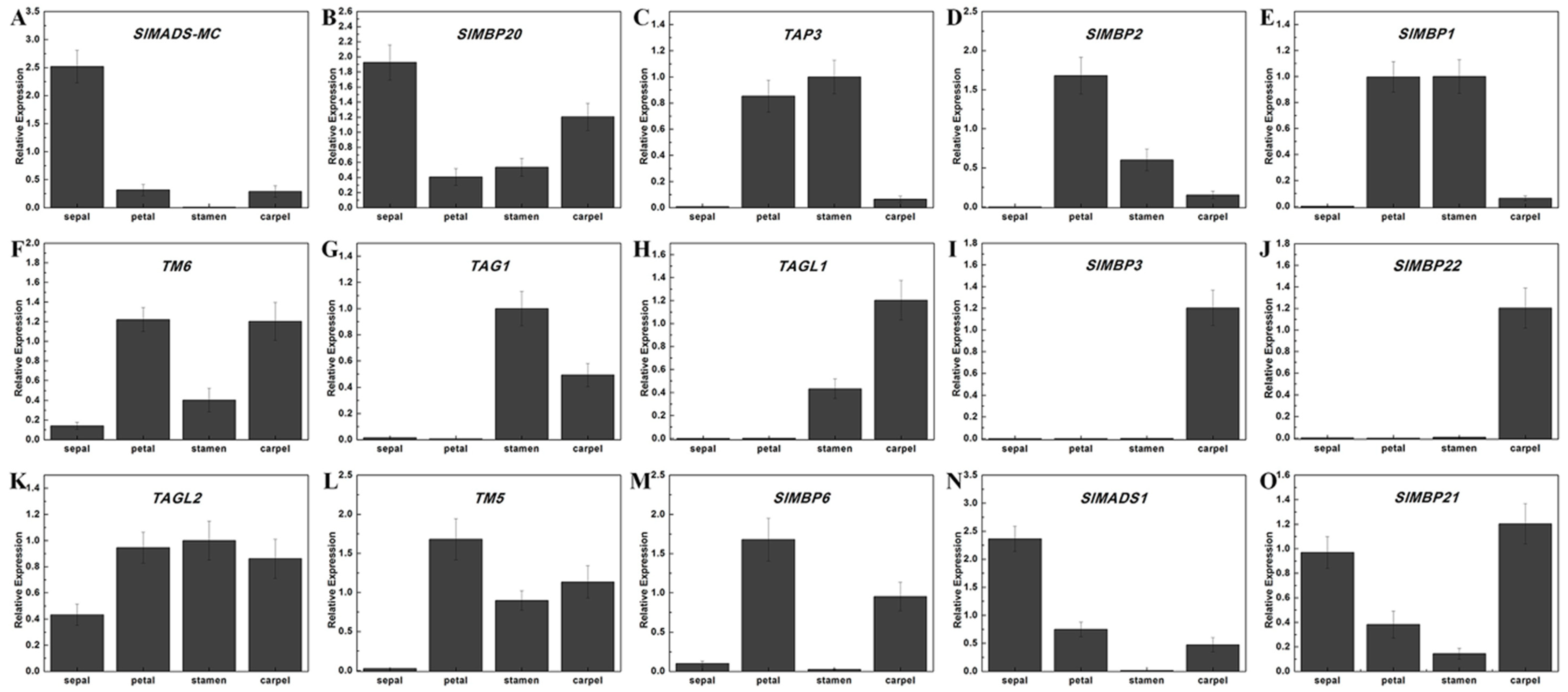 Ijms 20 02961 g005 Ijms 20 02961 g005