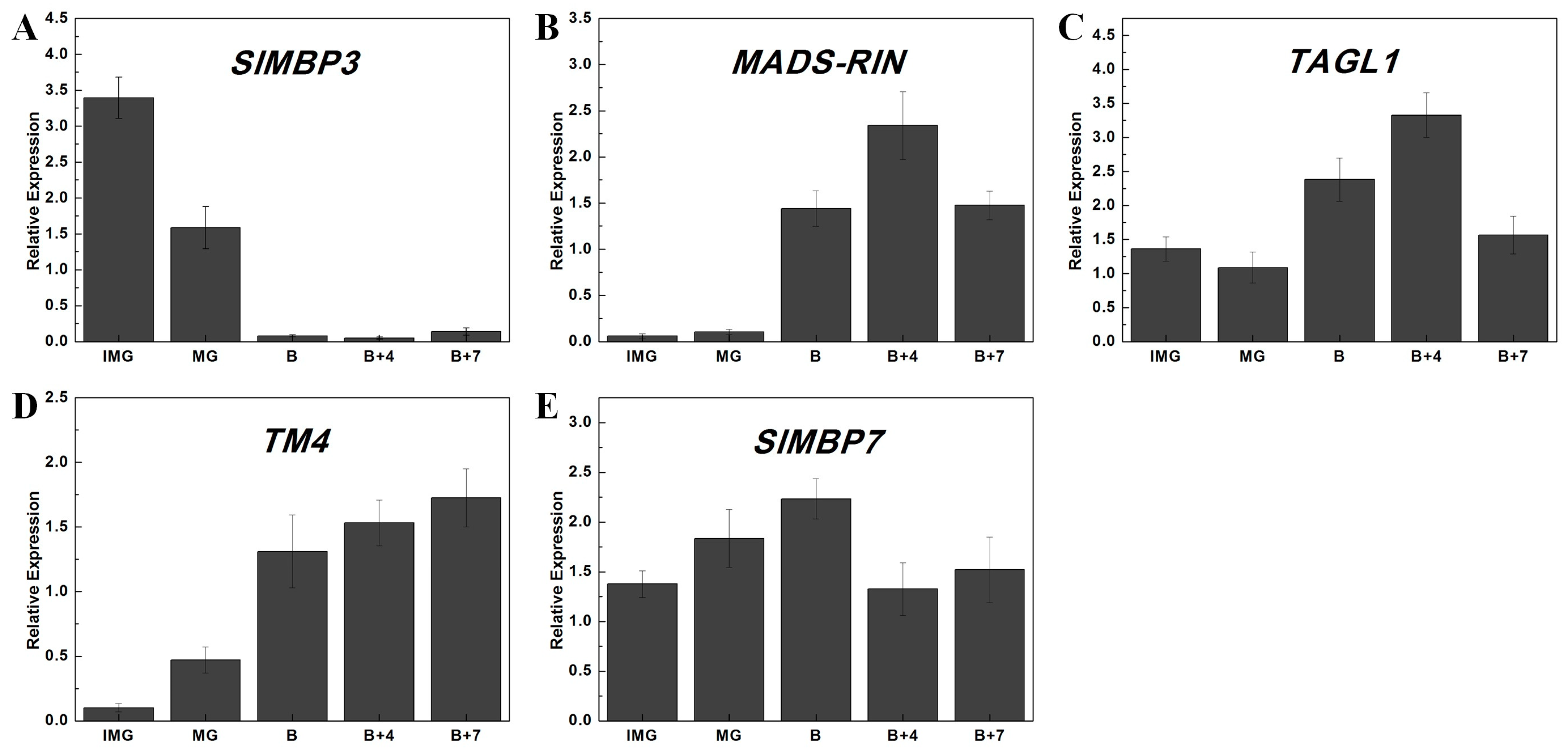 Ijms 20 02961 g006 Ijms 20 02961 g006