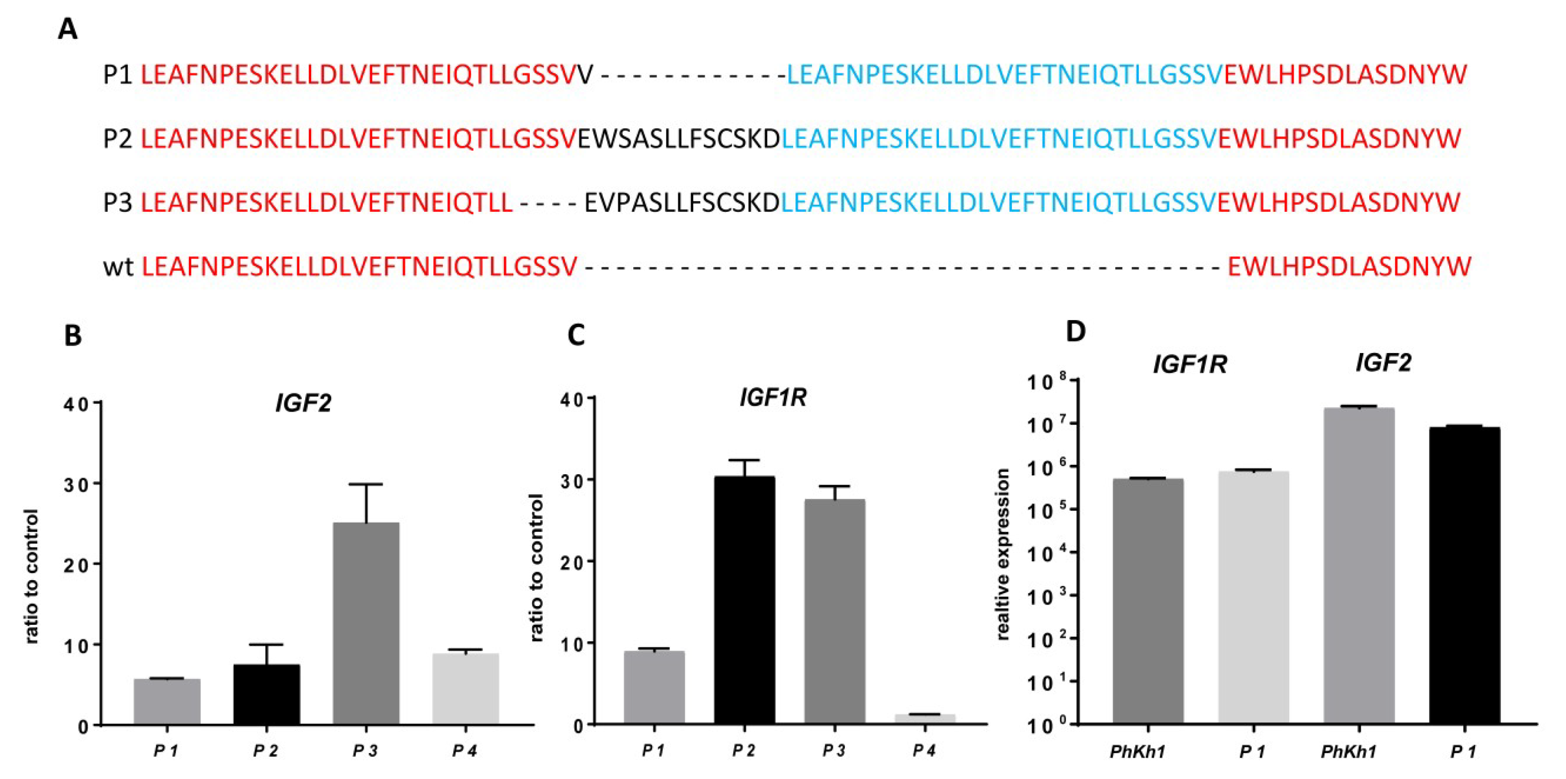 Ijms Free Full Text Igf1r Is A Potential New Therapeutic