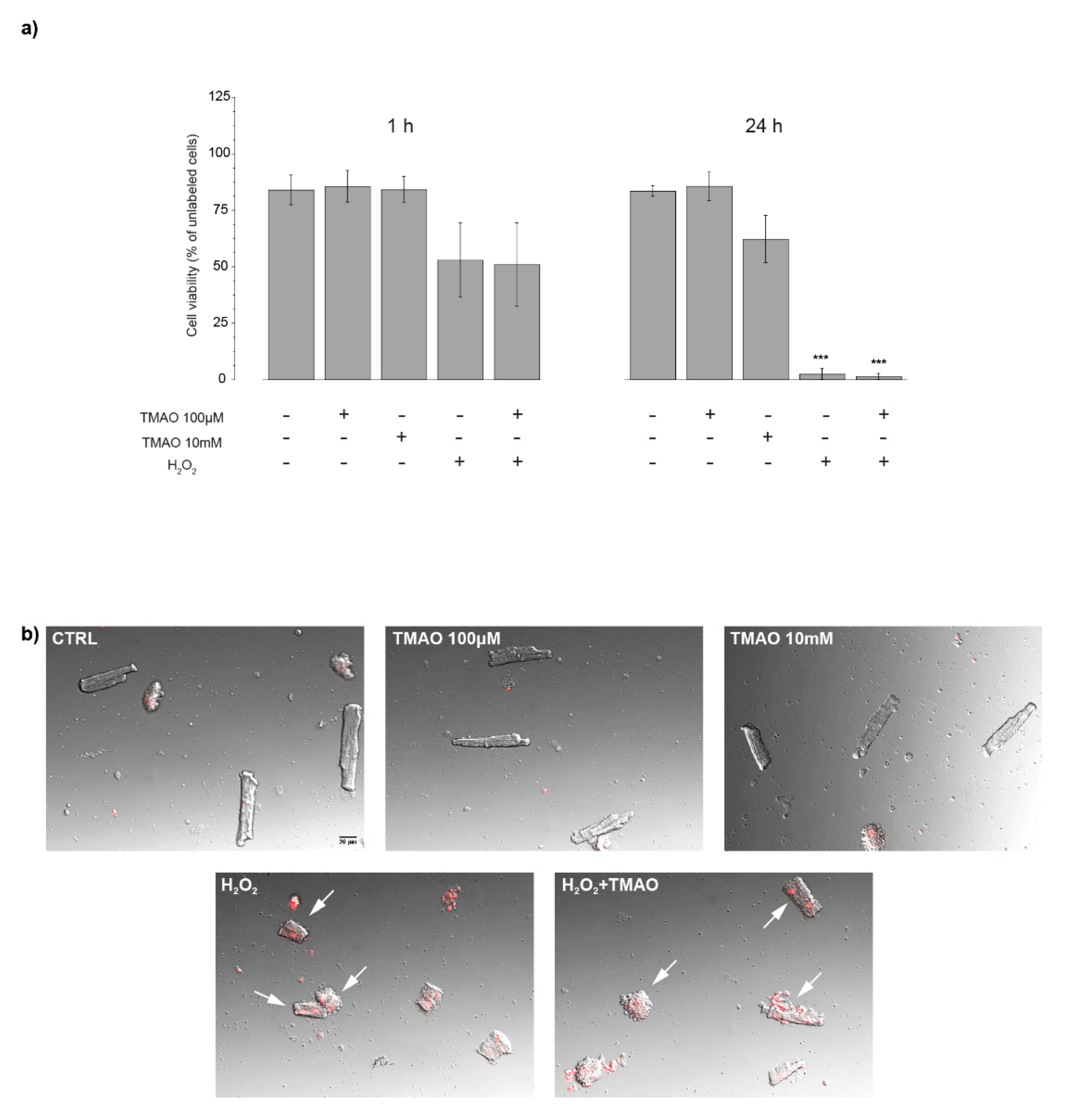 Ijms 20 03045 g001 Ijms 20 03045 g001