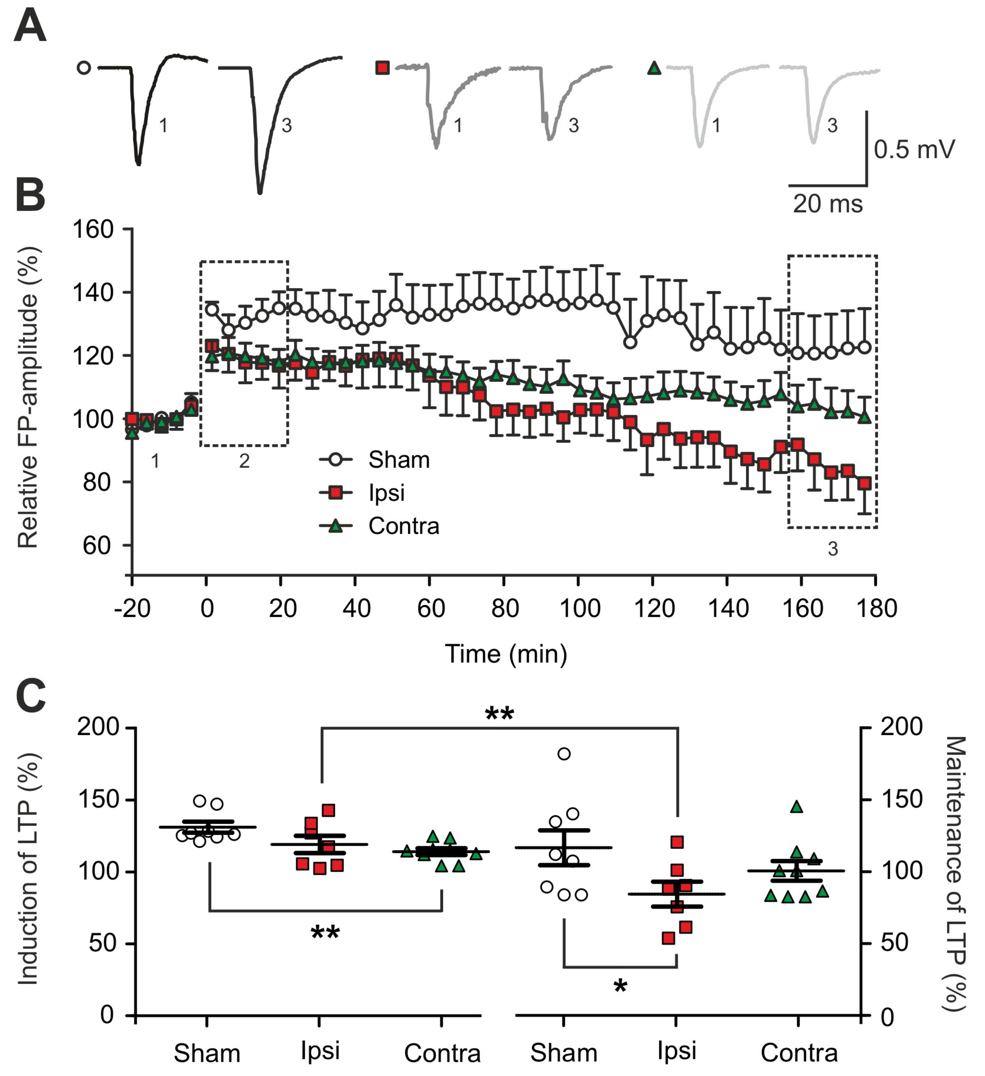Ijms 20 03048 g002 Ijms 20 03048 g002