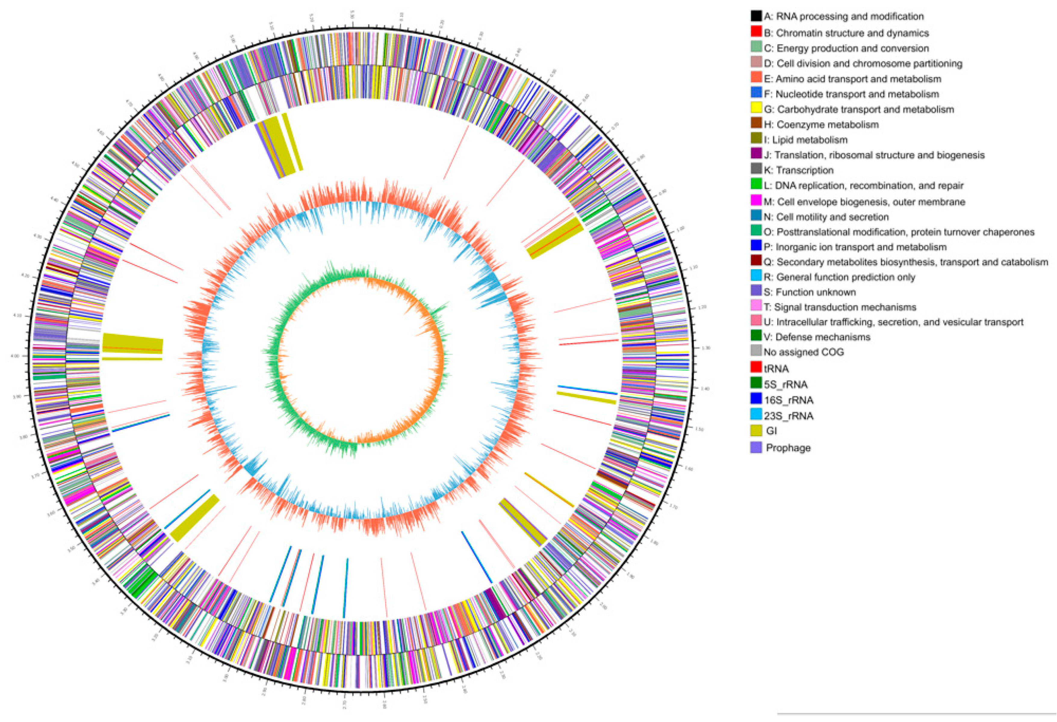 Ijms 20 03053 g001 Ijms 20 03053 g001