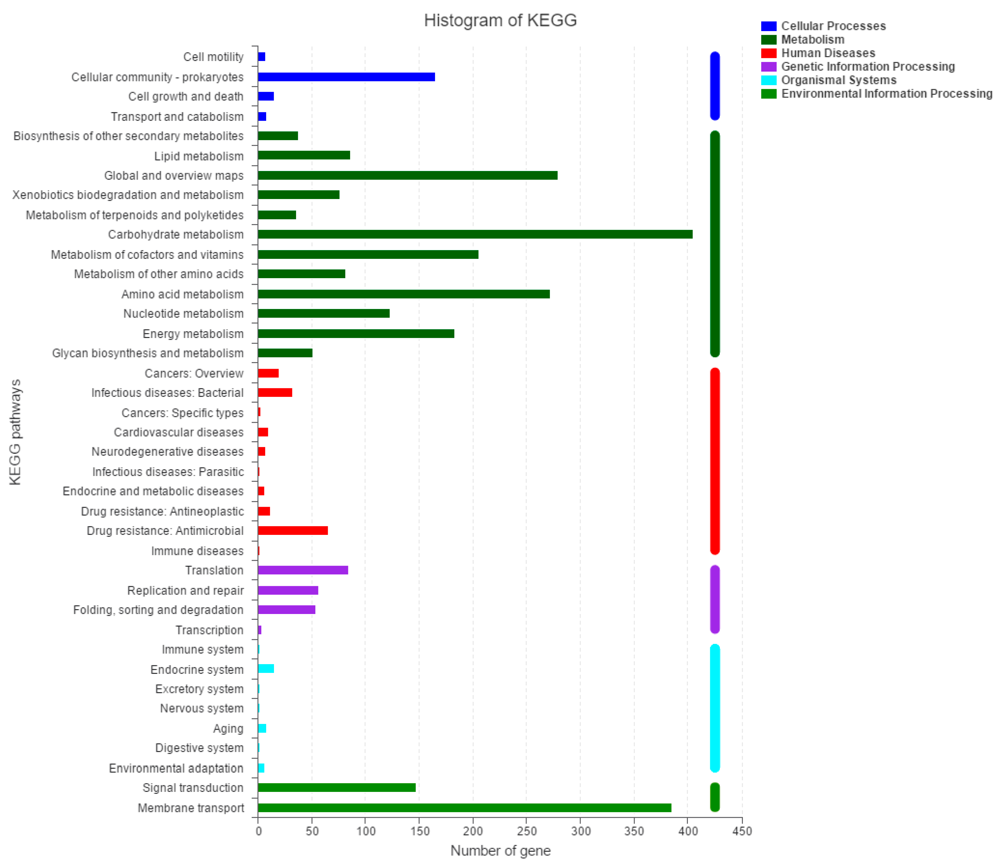 Ijms 20 03053 g004 Ijms 20 03053 g004