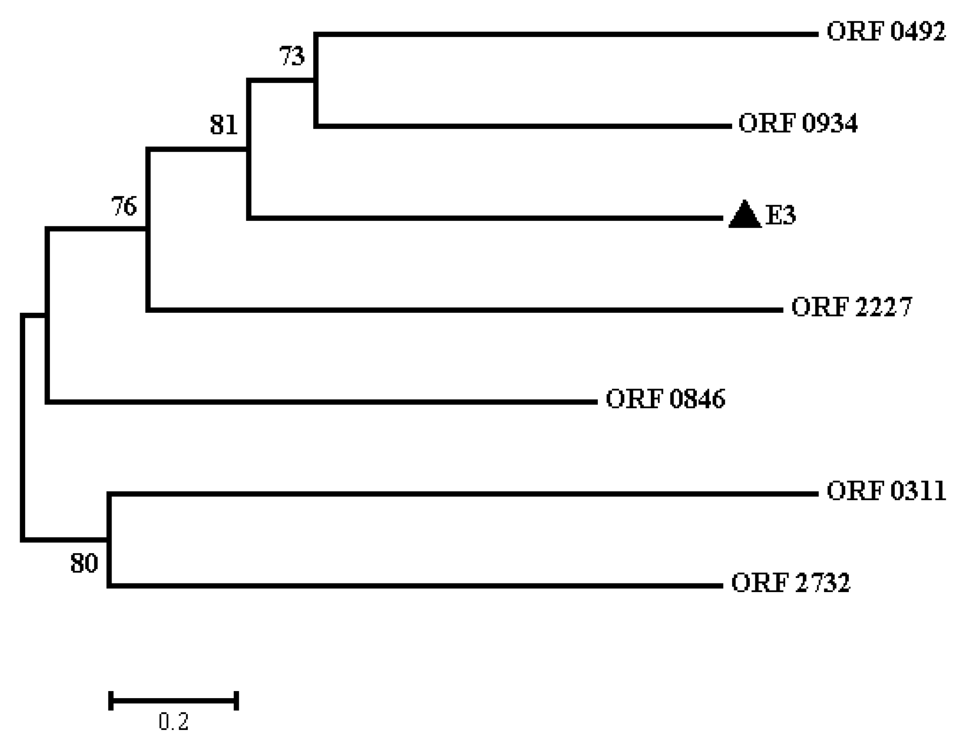 Ijms 20 03053 g006 Ijms 20 03053 g006