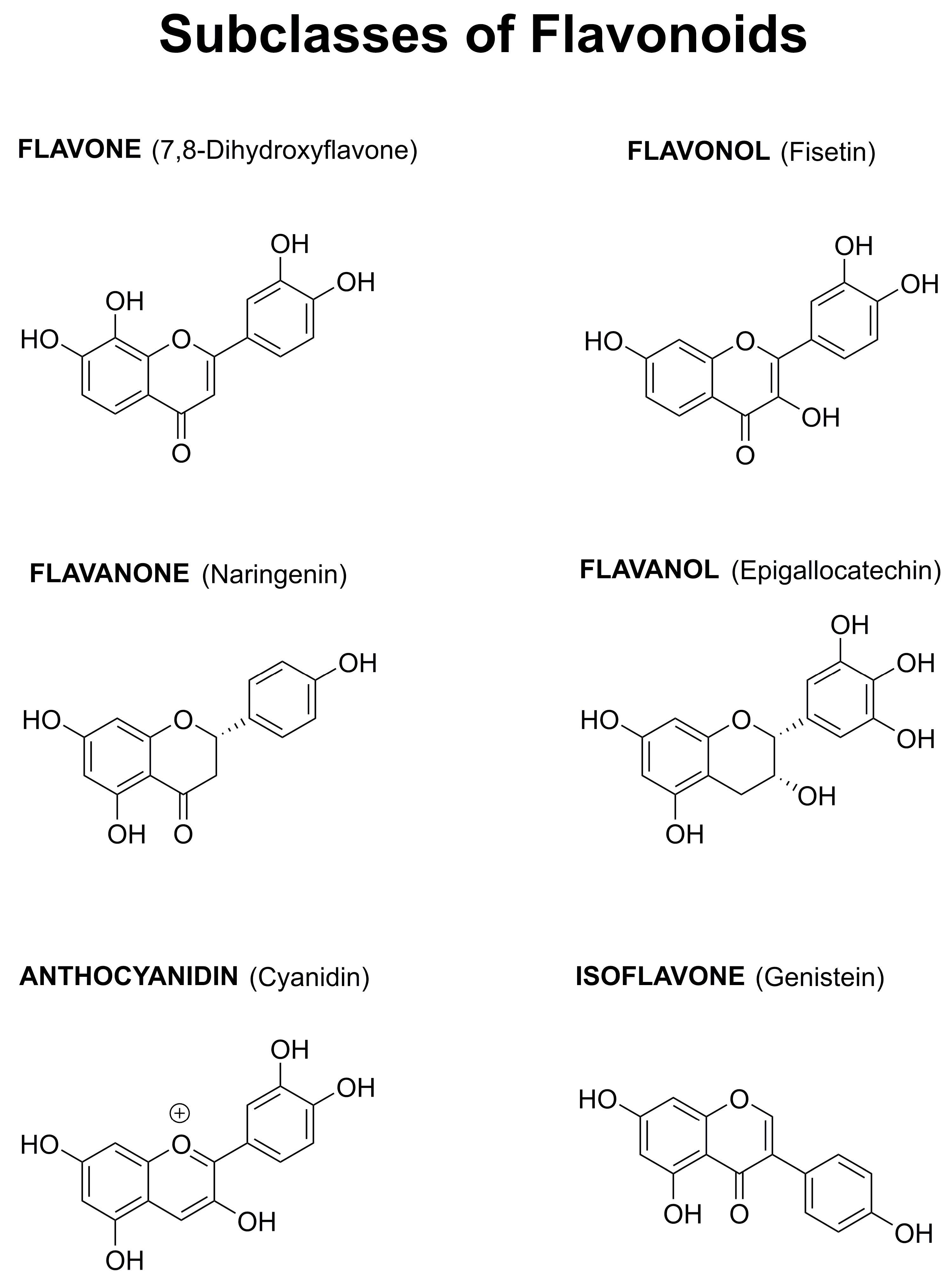 Ijms 20 03056 g001 Ijms 20 03056 g001