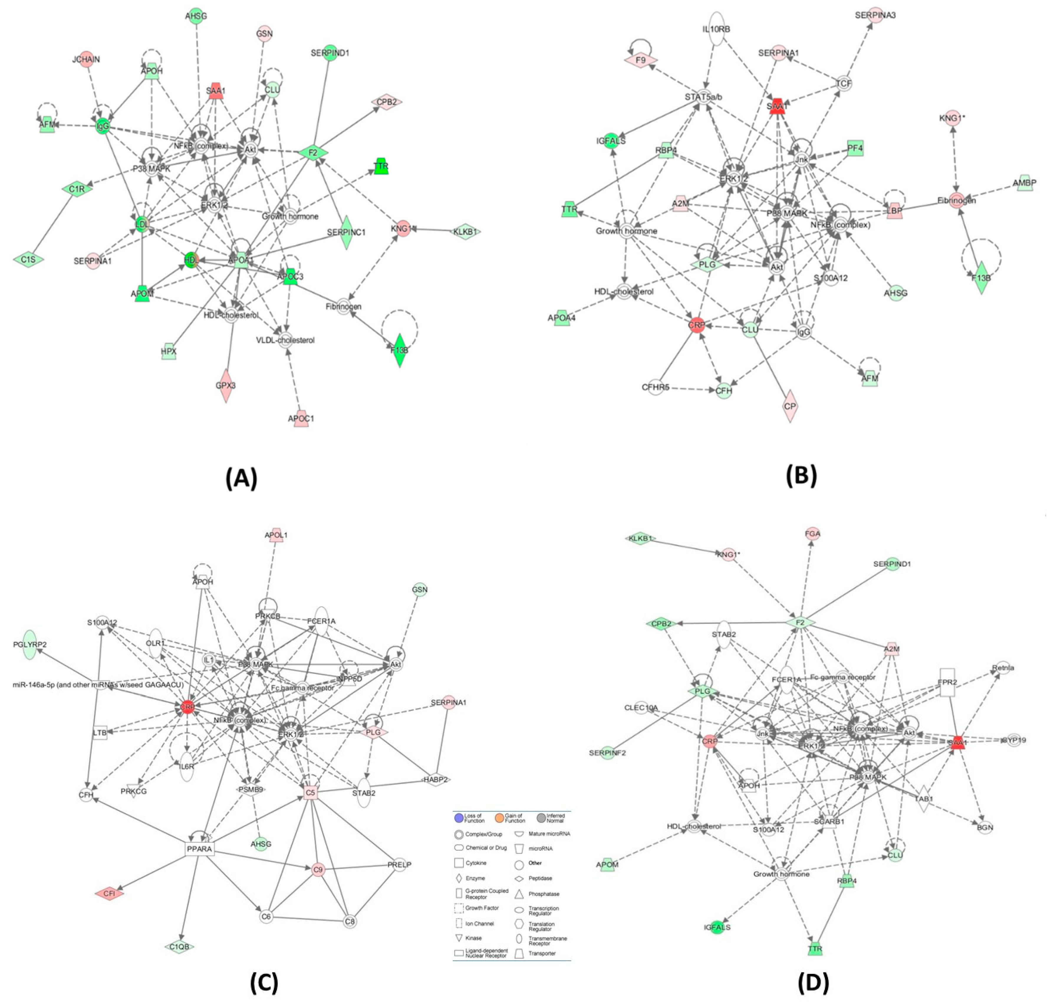 Ijms 20 03096 g003 Ijms 20 03096 g003