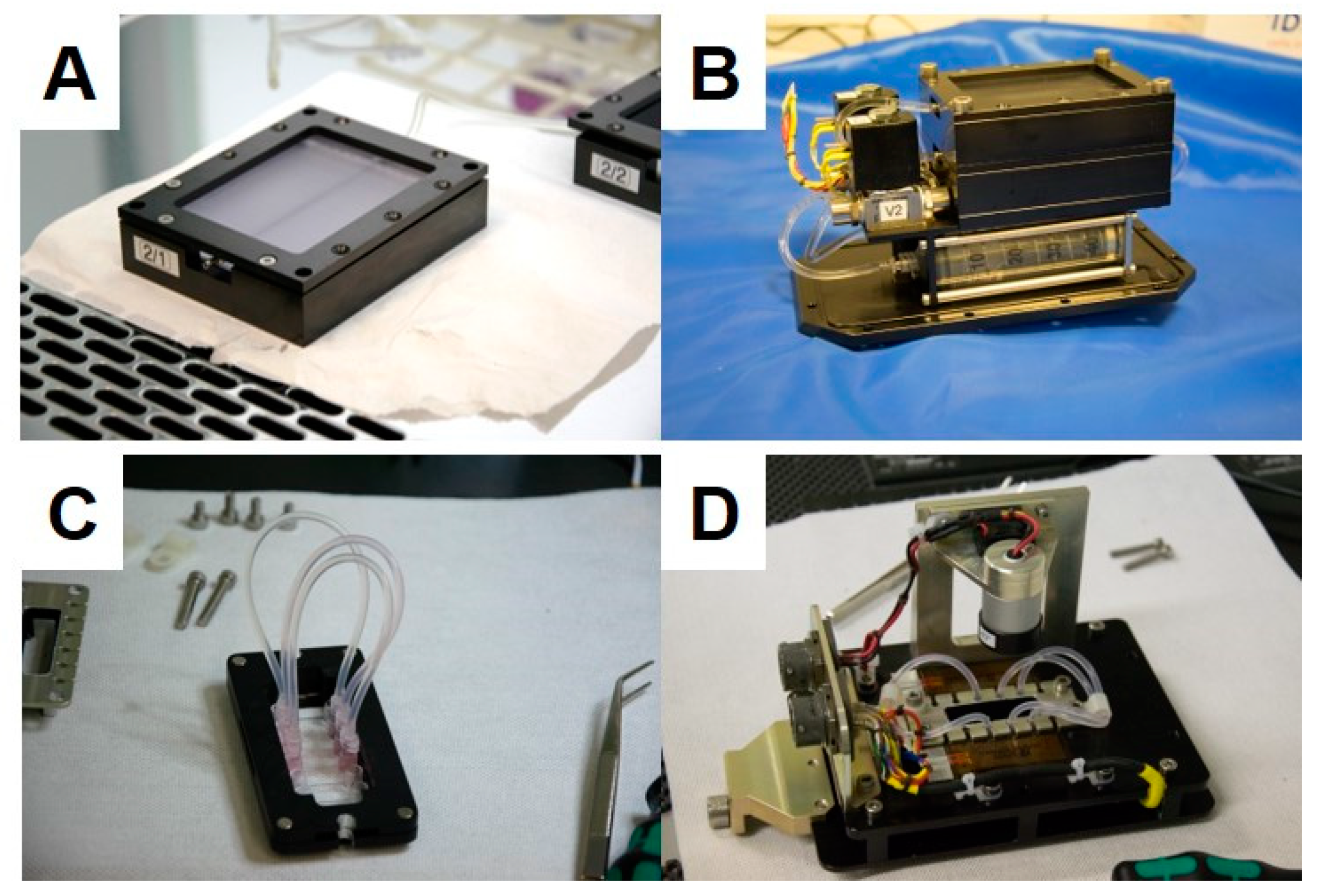 Ijms 20 03156 g013 Ijms 20 03156 g013