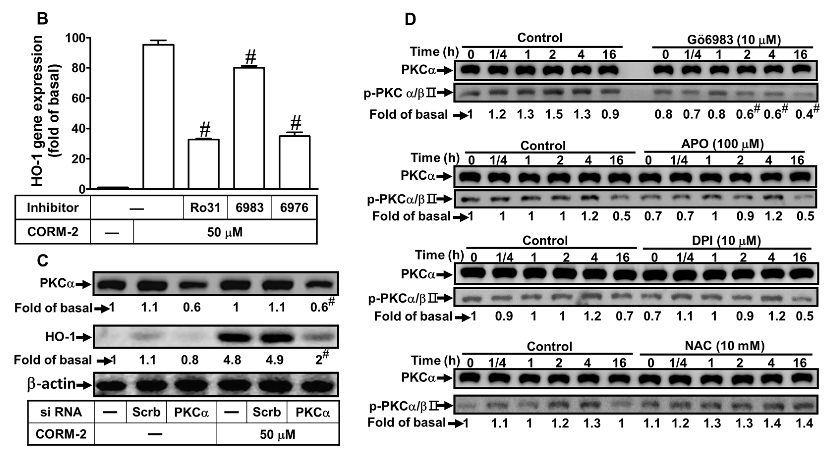 Ijms 20 03157 g004b Ijms 20 03157 g004b