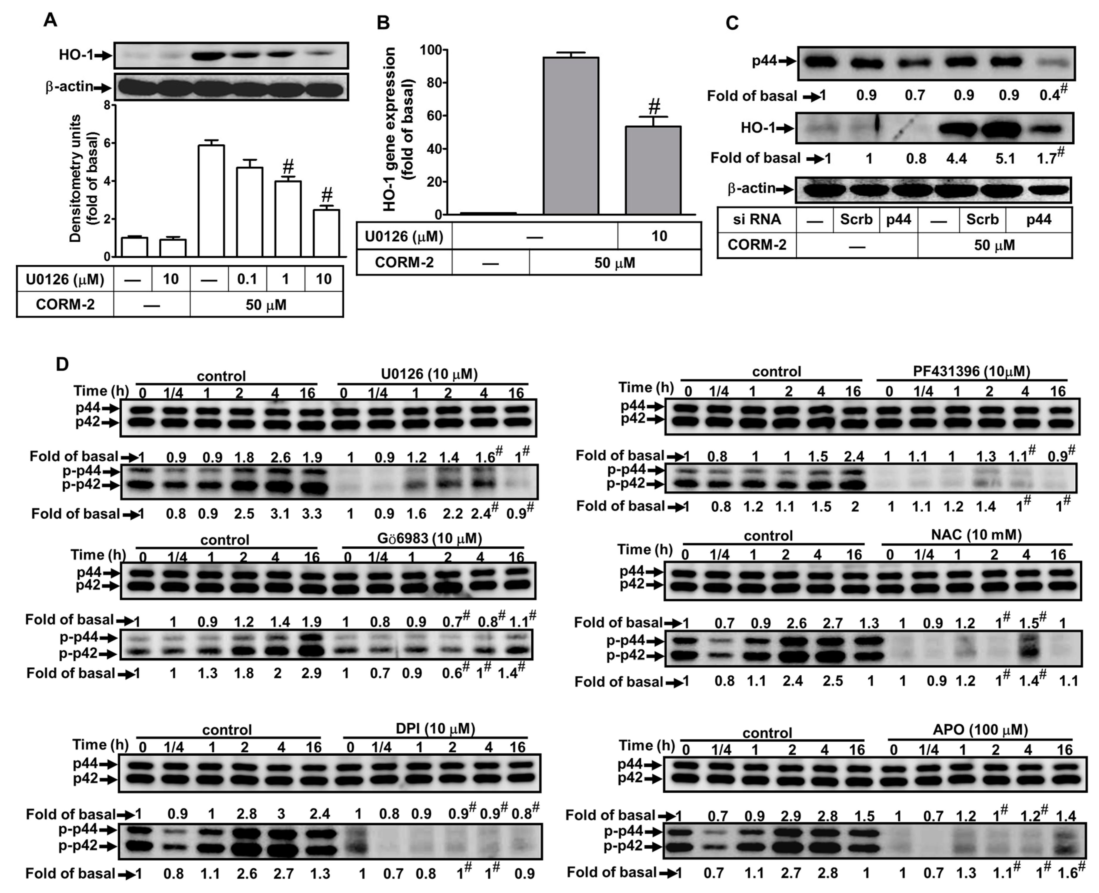 Ijms 20 03157 g006 Ijms 20 03157 g006