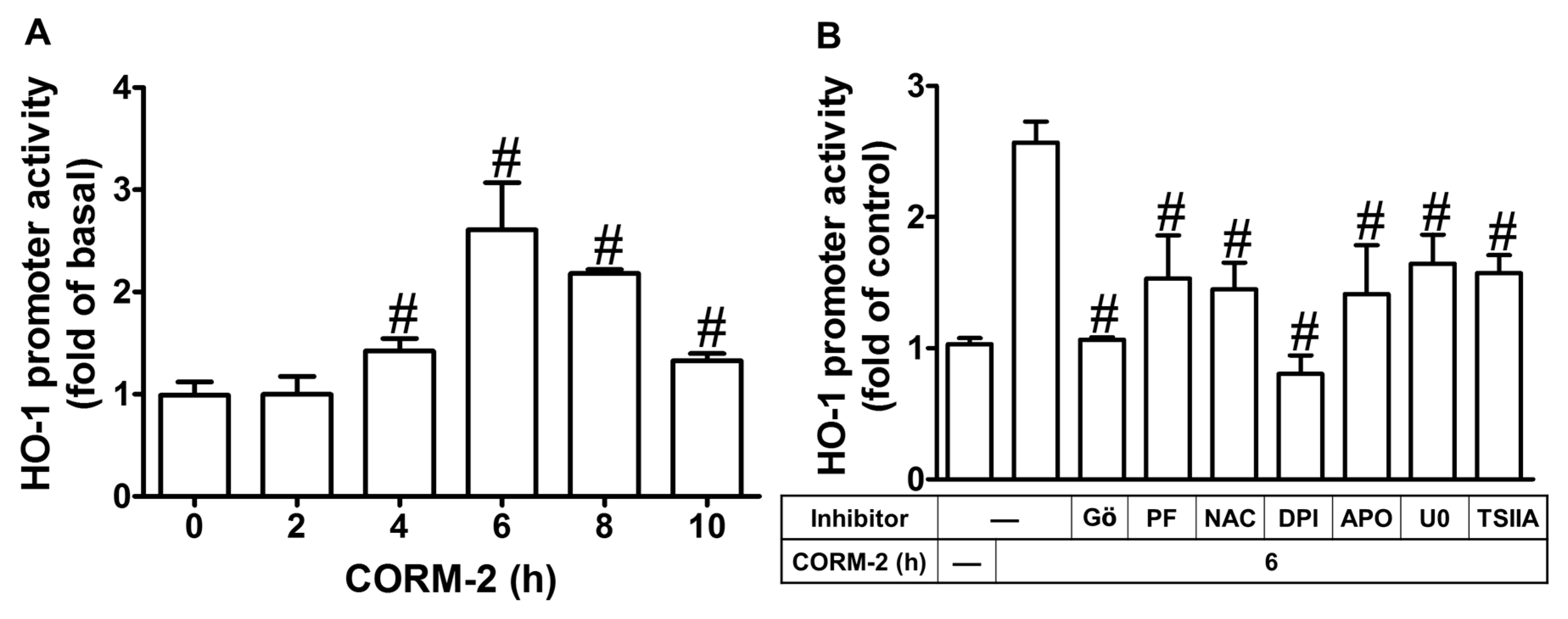 Ijms 20 03157 g008 Ijms 20 03157 g008