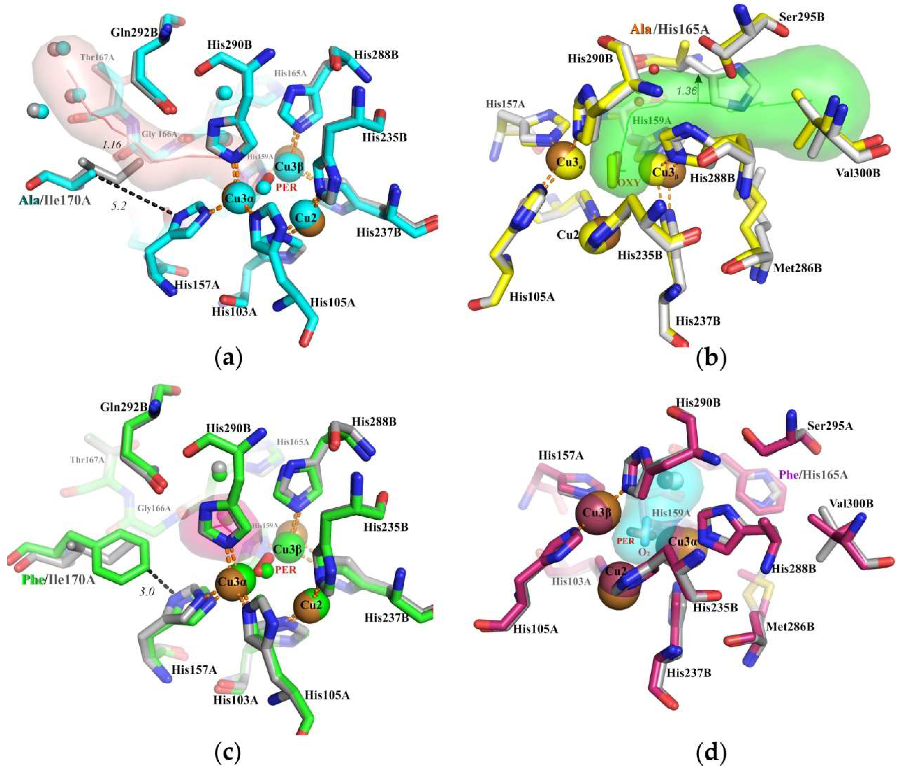 Ijms 20 03184 g002 Ijms 20 03184 g002
