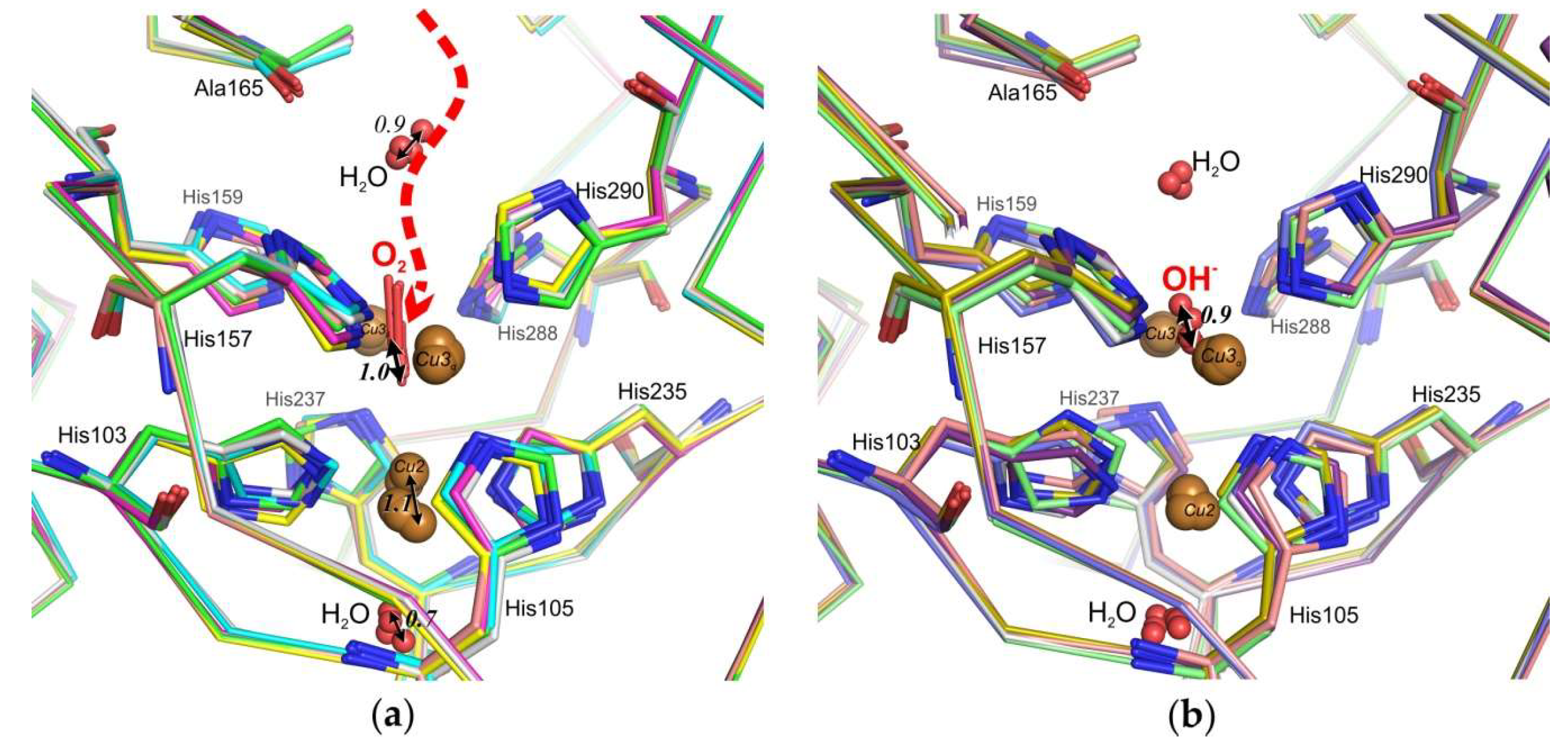 Ijms 20 03184 g003 Ijms 20 03184 g003