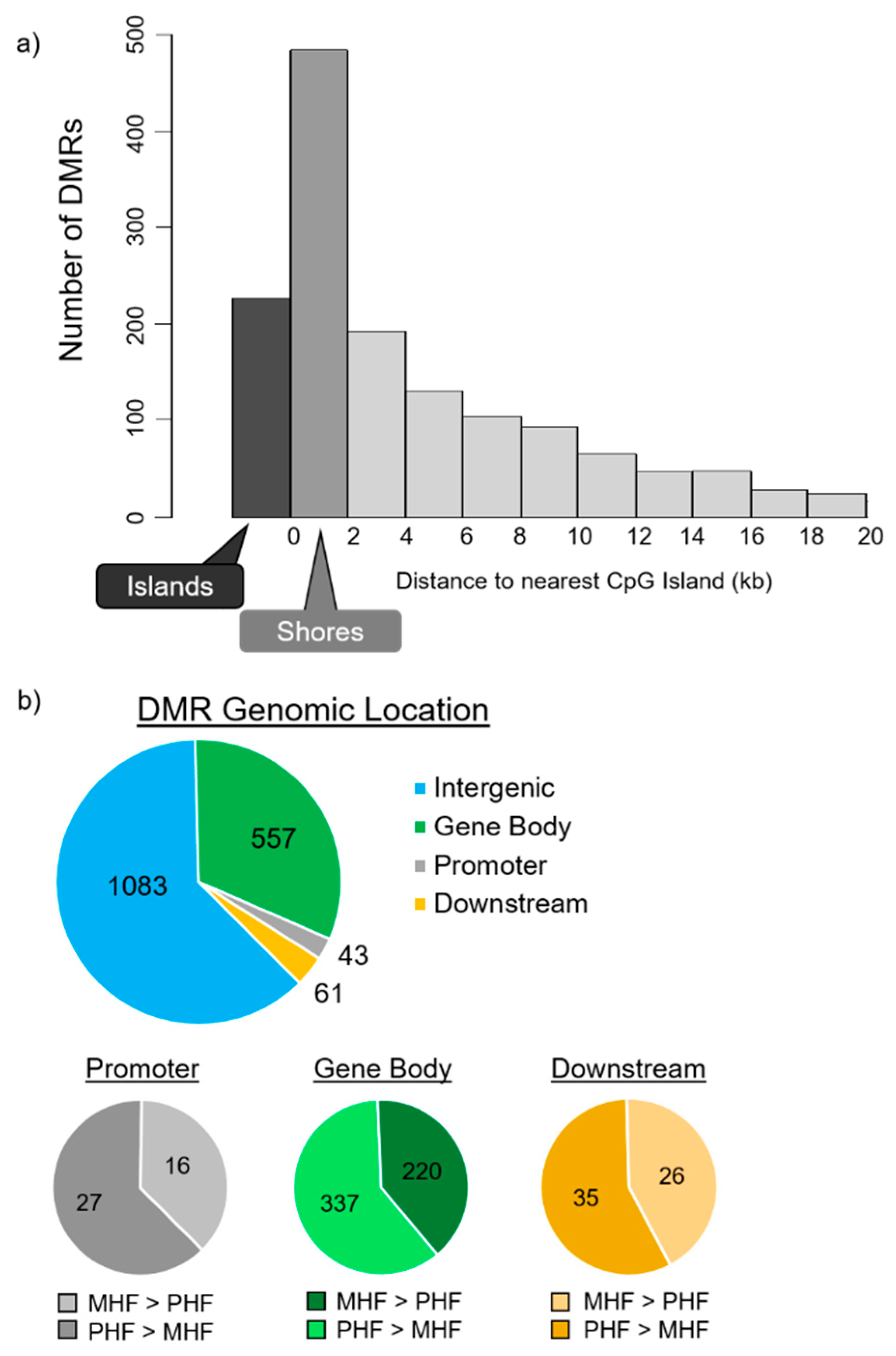 Ijms 20 03229 g003 Ijms 20 03229 g003
