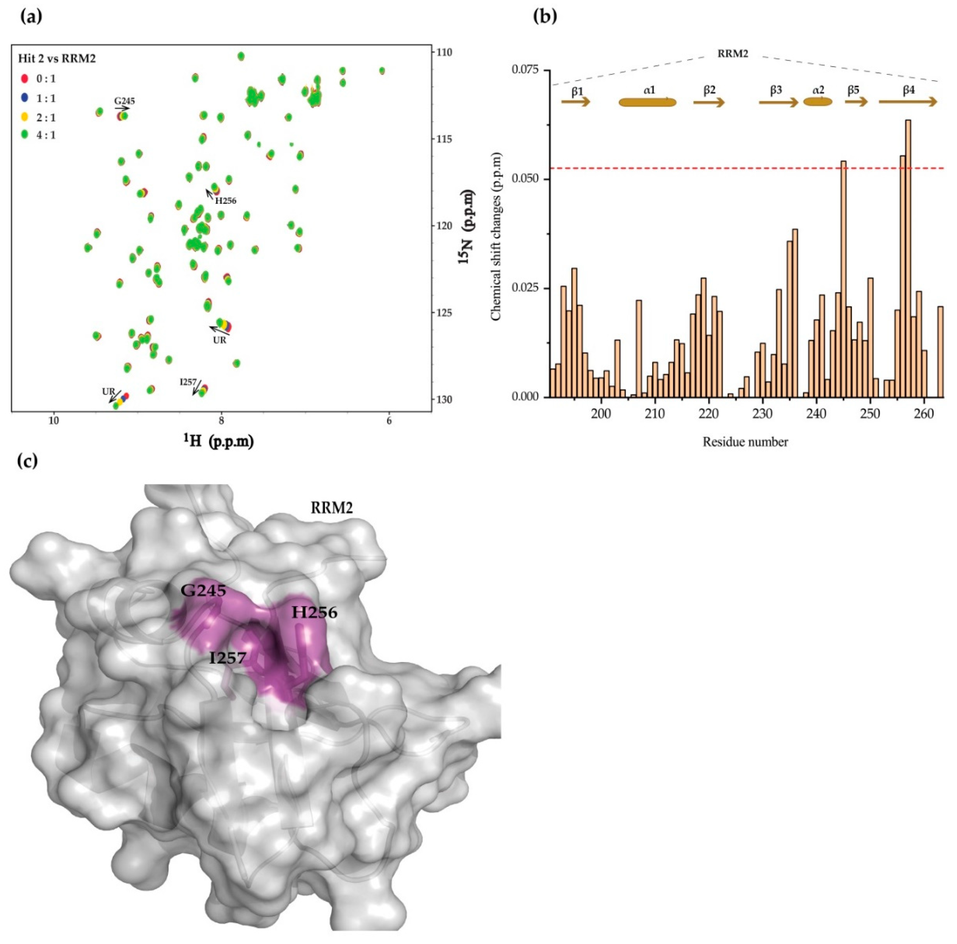 Ijms Free Full Text Nmr Fragment Based Screening Against Tandem Rna Recognition Motifs Of Tdp 43 Html