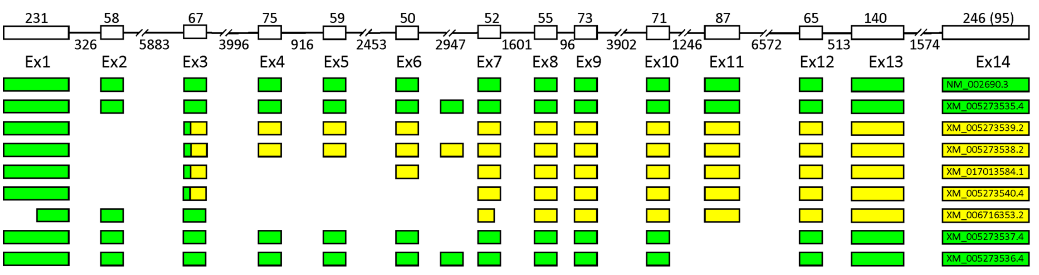 Ijms 20 03279 g003 Ijms 20 03279 g003