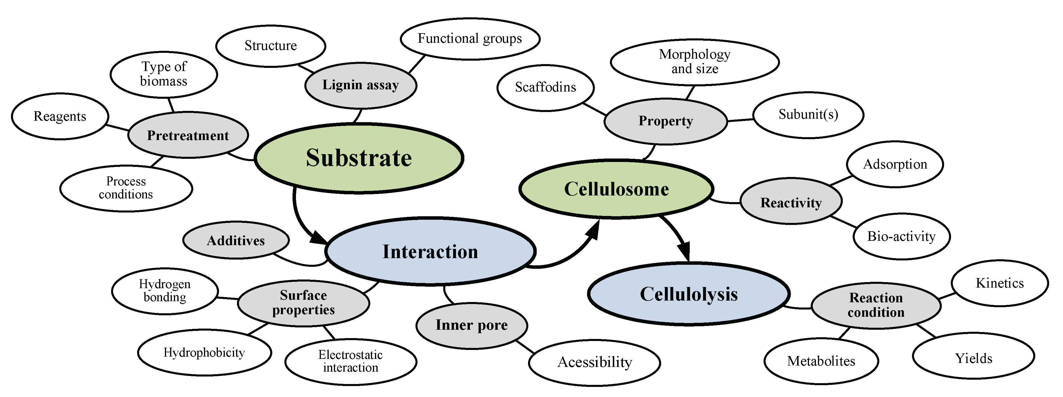 Ijms 20 03354 g003 Ijms 20 03354 g003