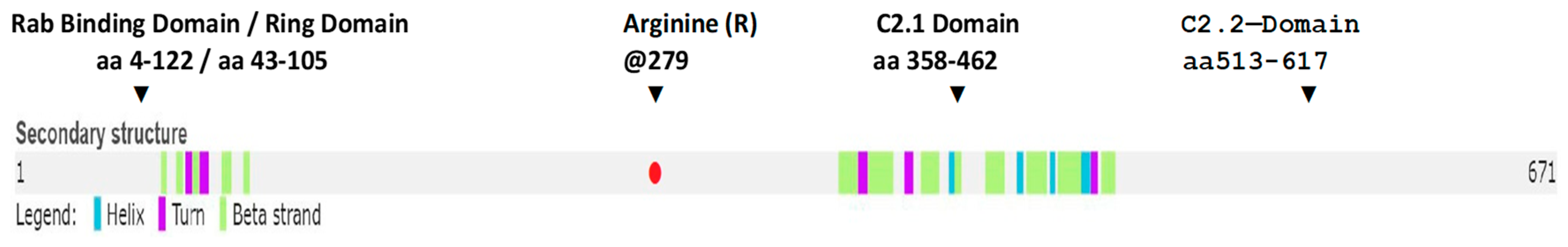 Ijms 20 03358 g001 Ijms 20 03358 g001