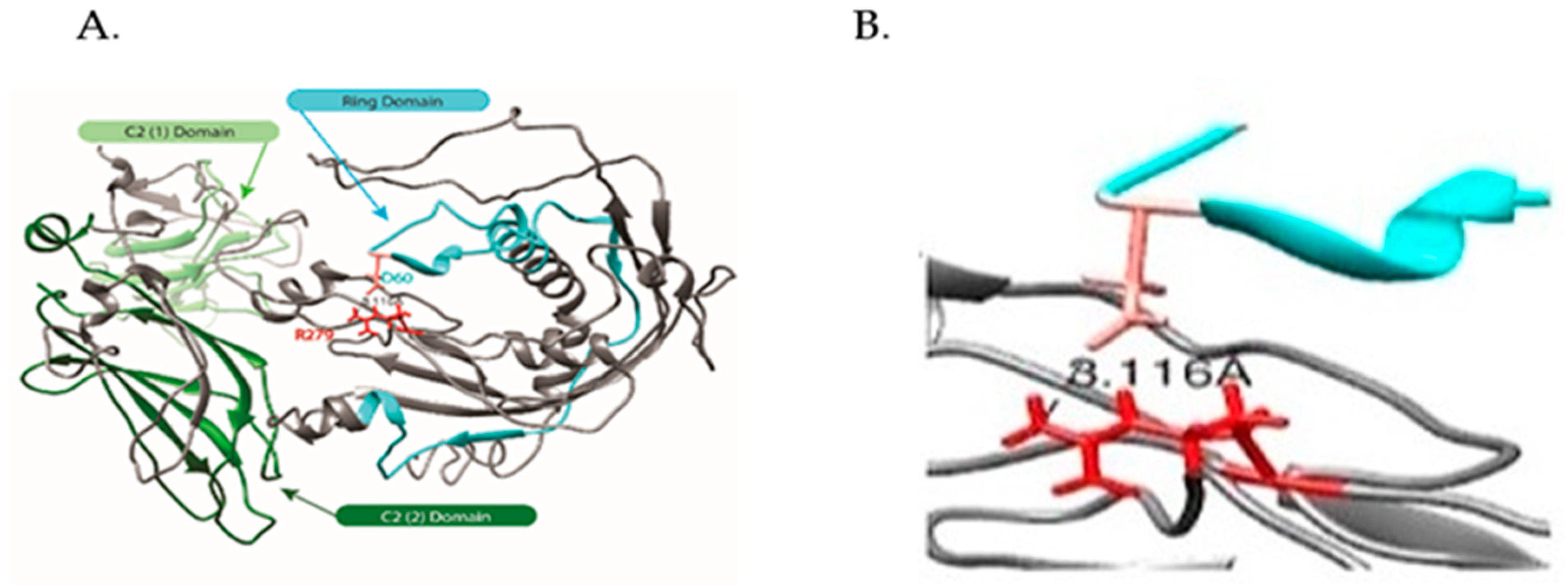 Ijms 20 03358 g002 Ijms 20 03358 g002