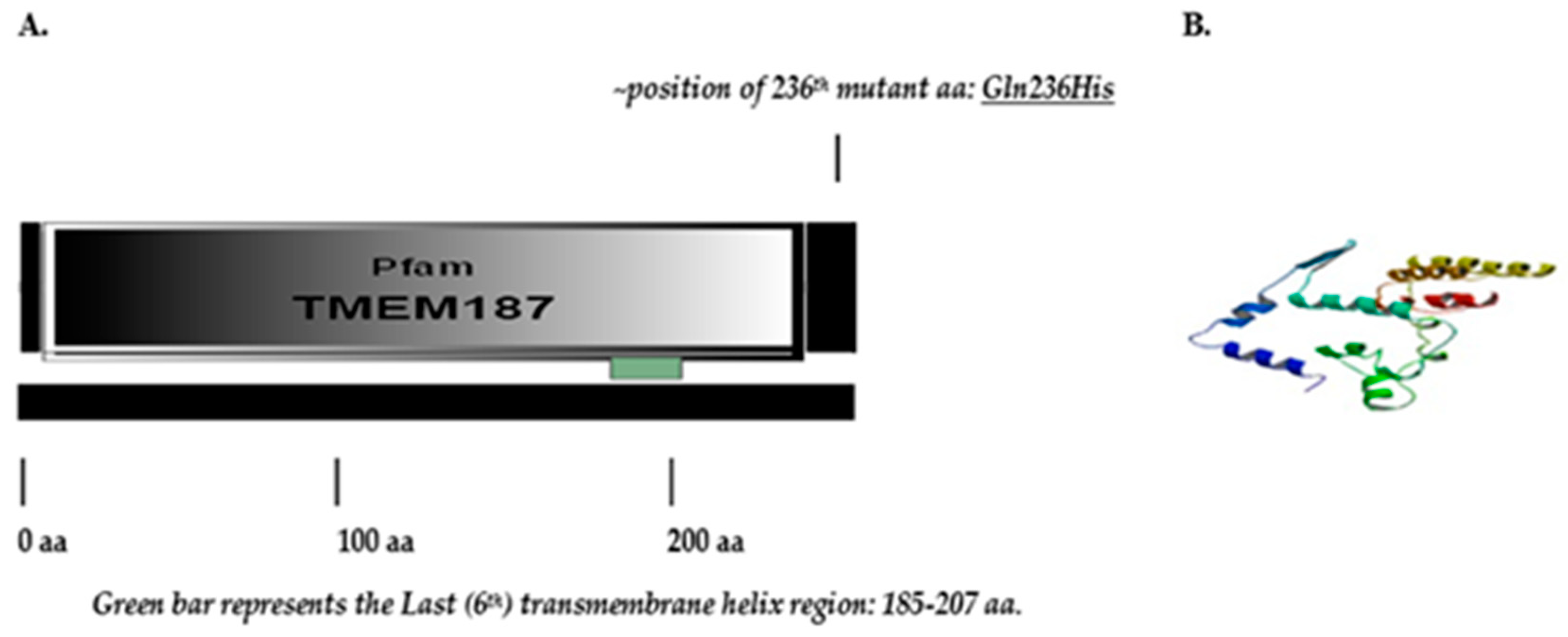 Ijms 20 03358 g006 Ijms 20 03358 g006