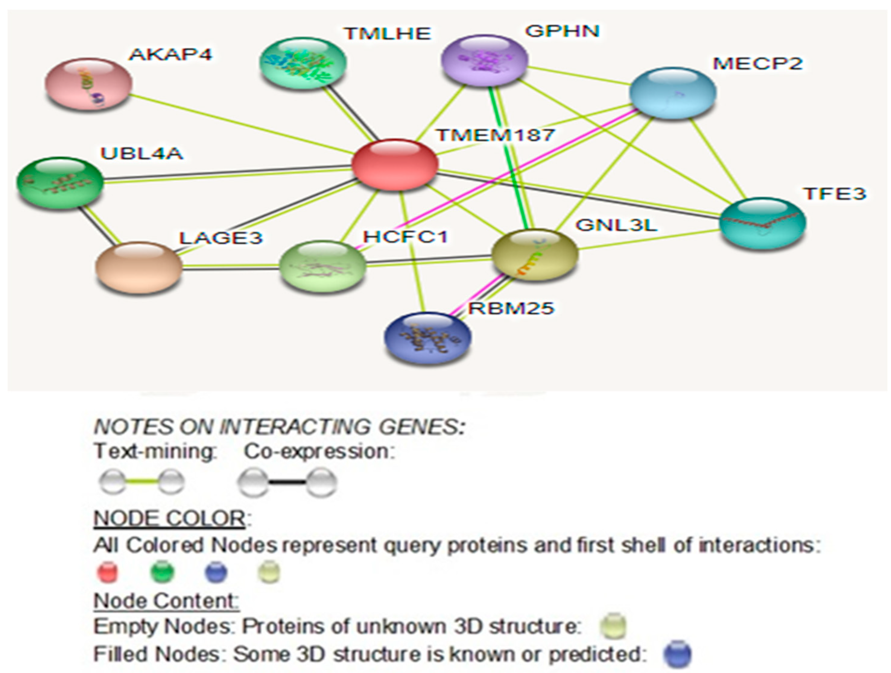 Ijms 20 03358 g007 Ijms 20 03358 g007