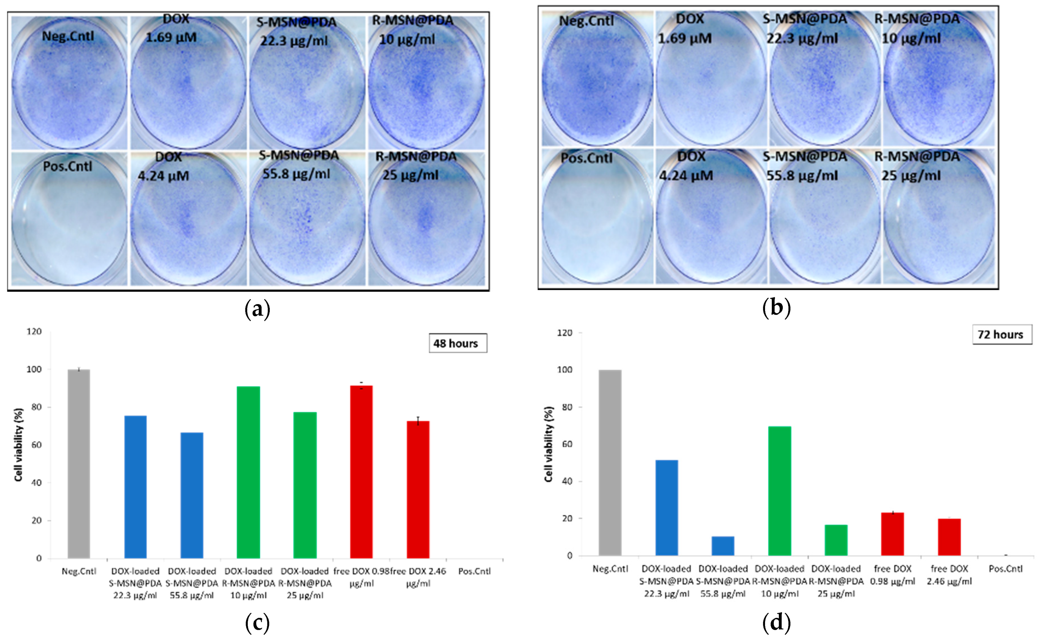 Ijms Free Full Text Comparison Of Polydopamine Coated Mesoporous Silica Nanorods And Spheres For The Delivery Of Hydrophilic And Hydrophobic Anticancer Drugs Html