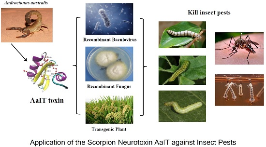 Ijms Free Full Text Application Of The Scorpion Neurotoxin Aait Against Insect Pests Html