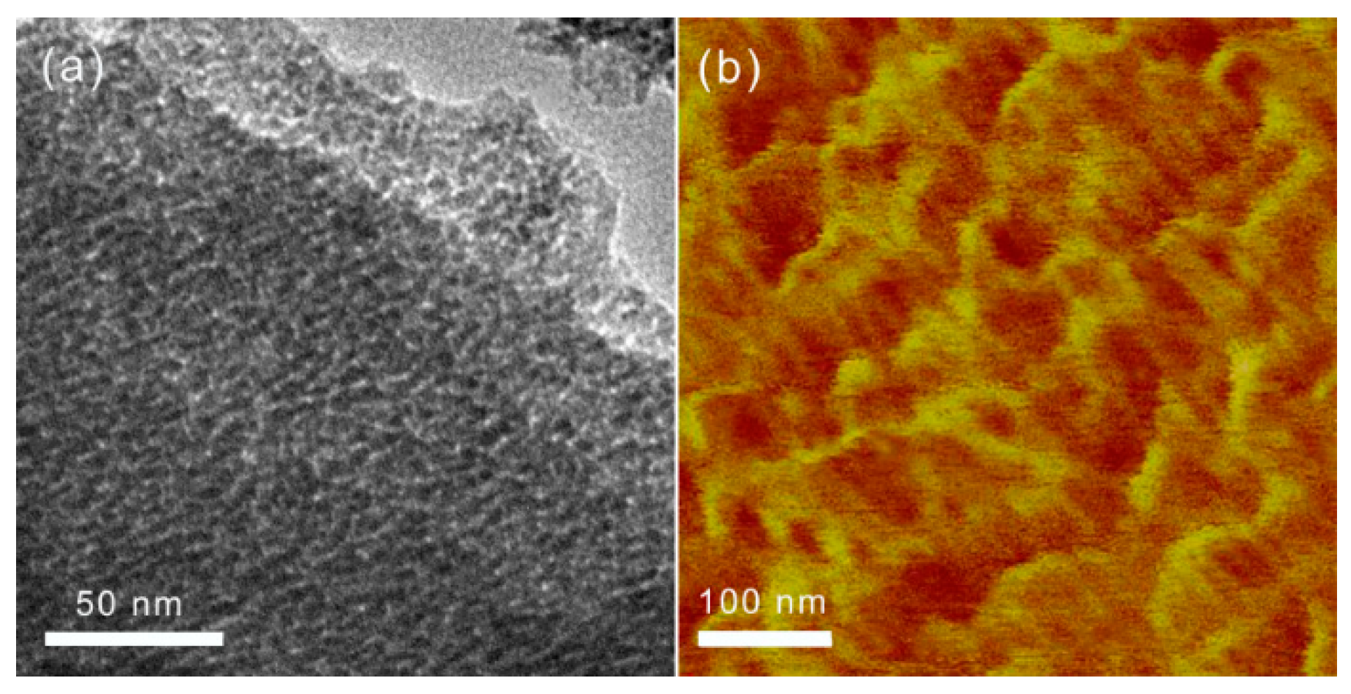 Ijms 20 03470 g003 Ijms 20 03470 g003