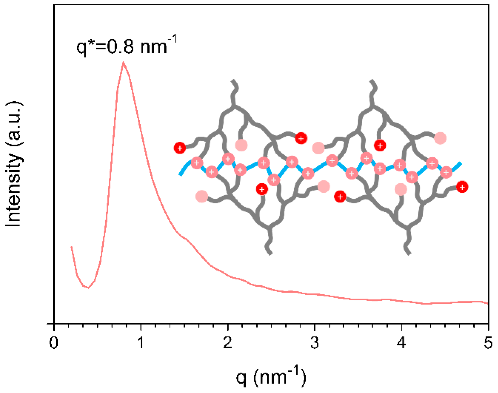 Ijms 20 03470 g004 Ijms 20 03470 g004