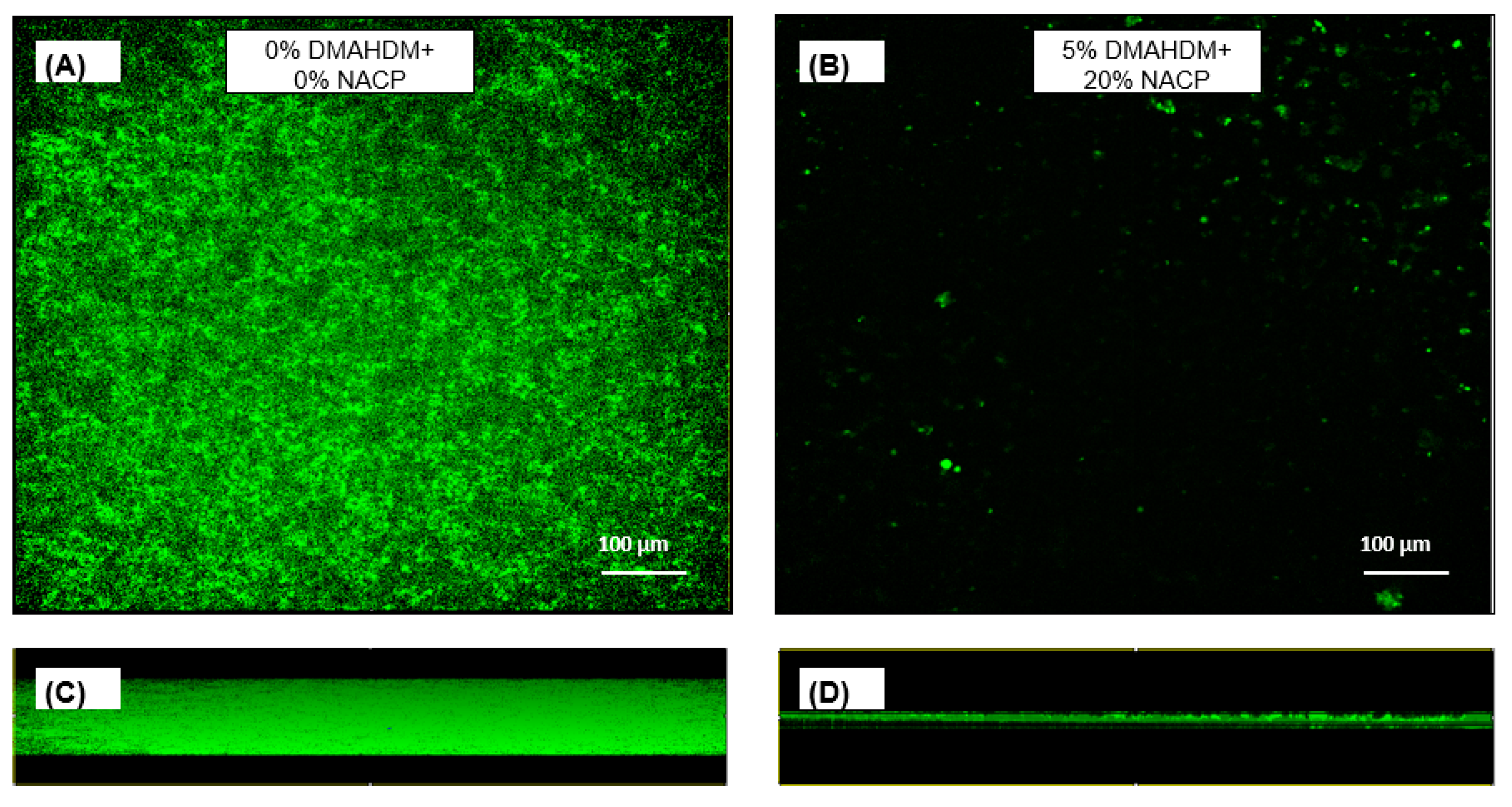 Ijms 20 03491 g007 Ijms 20 03491 g007