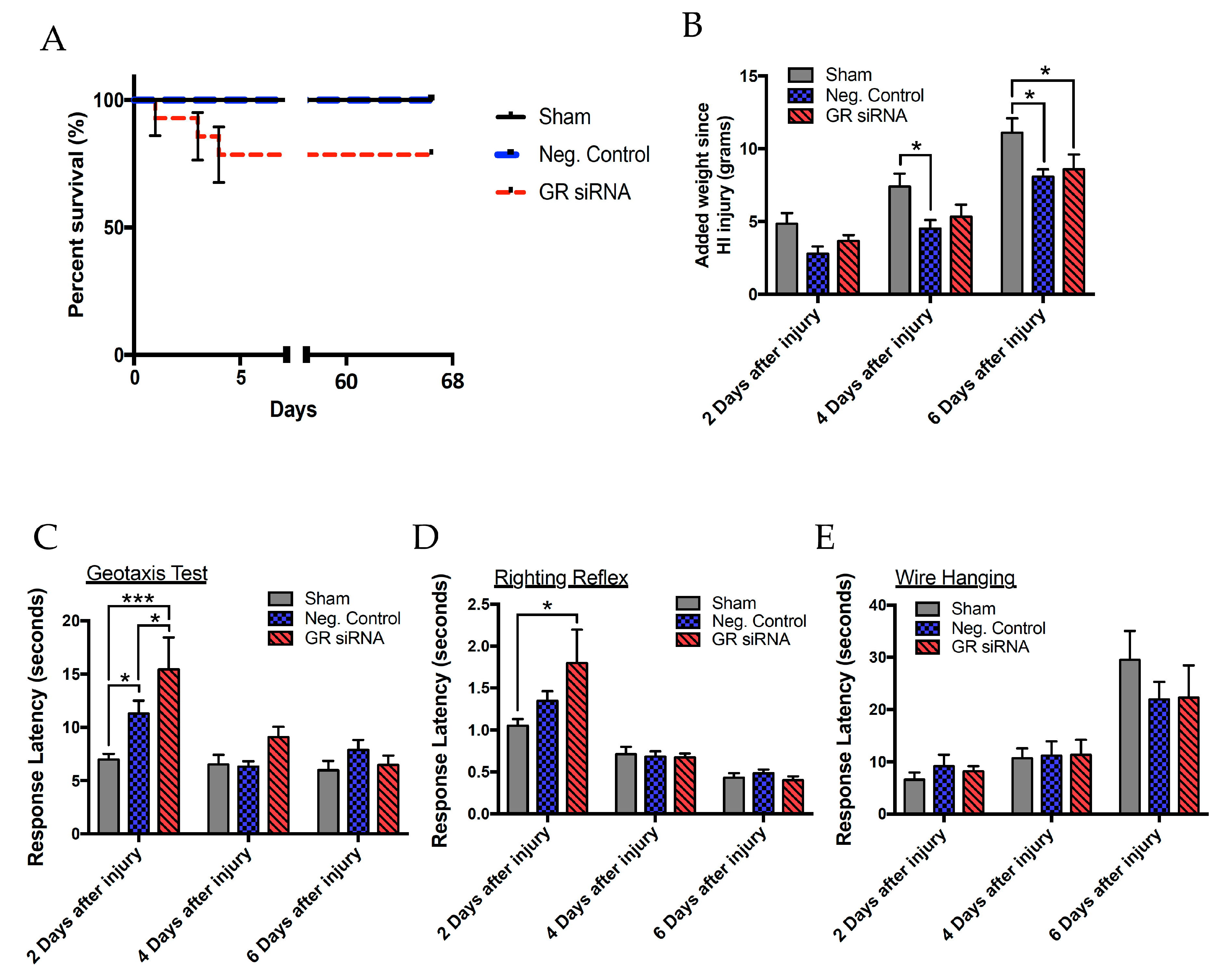 Ijms 20 03493 g004 Ijms 20 03493 g004