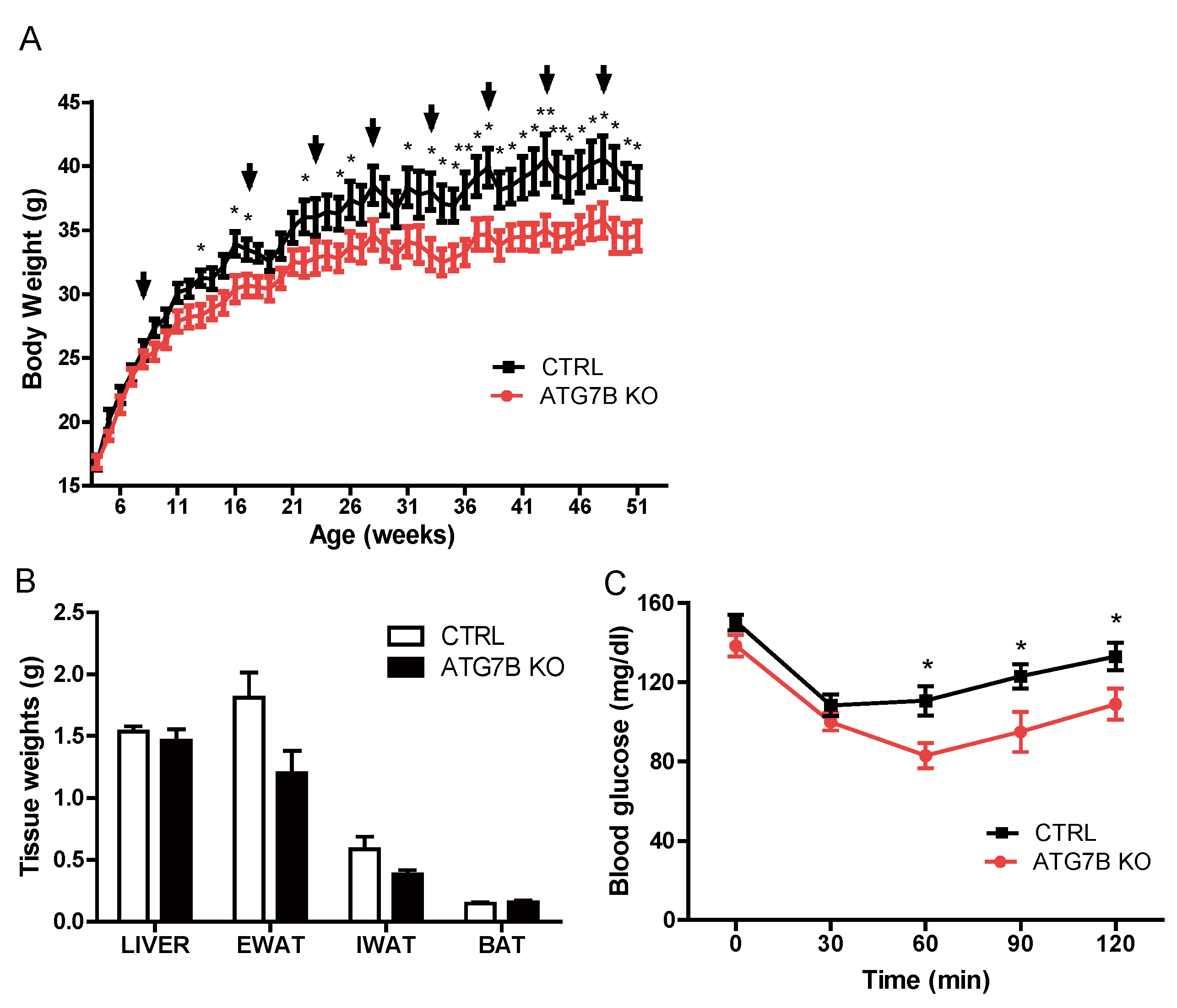 Ijms 20 03520 g002 Ijms 20 03520 g002