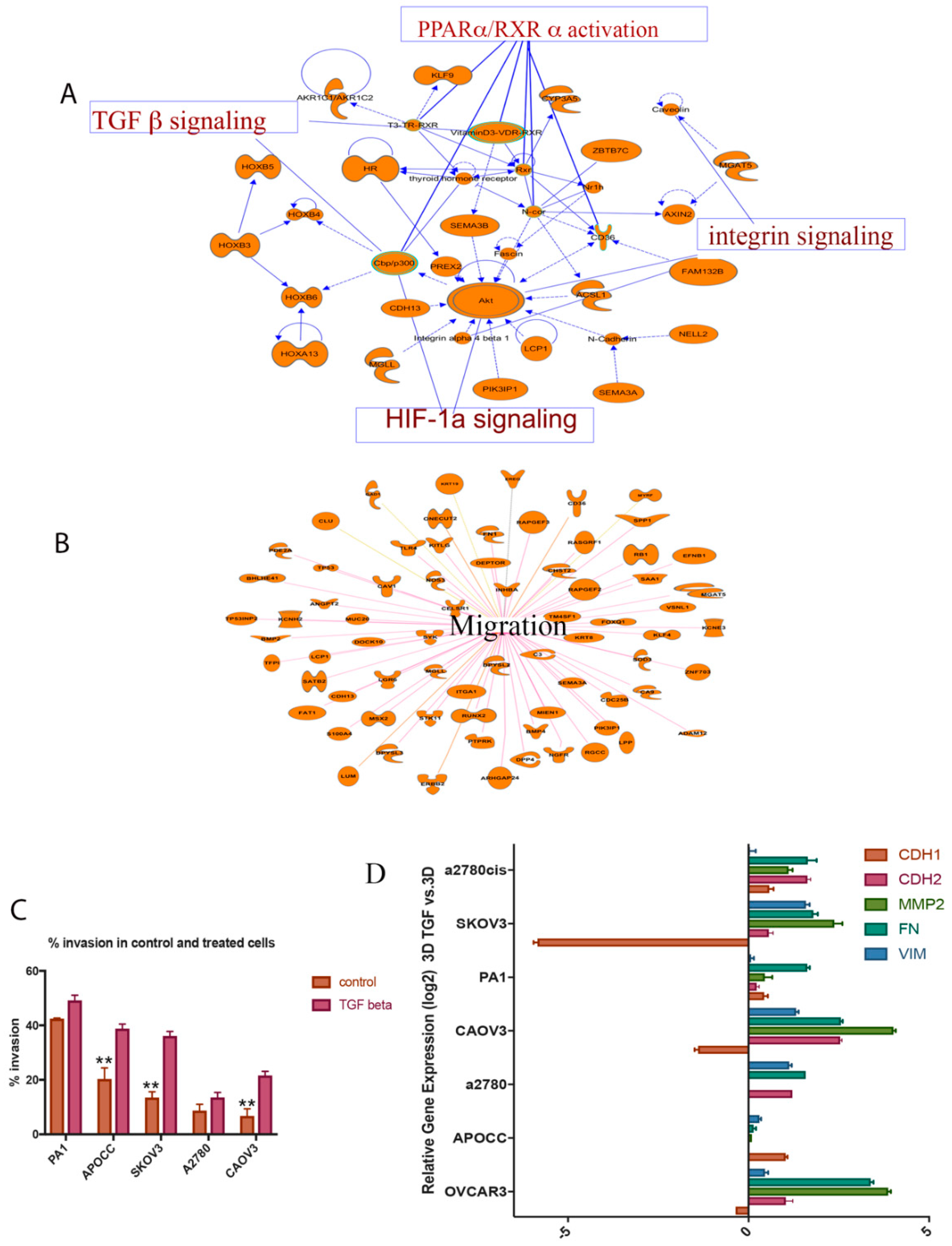 Ijms 20 03568 g001 Ijms 20 03568 g001