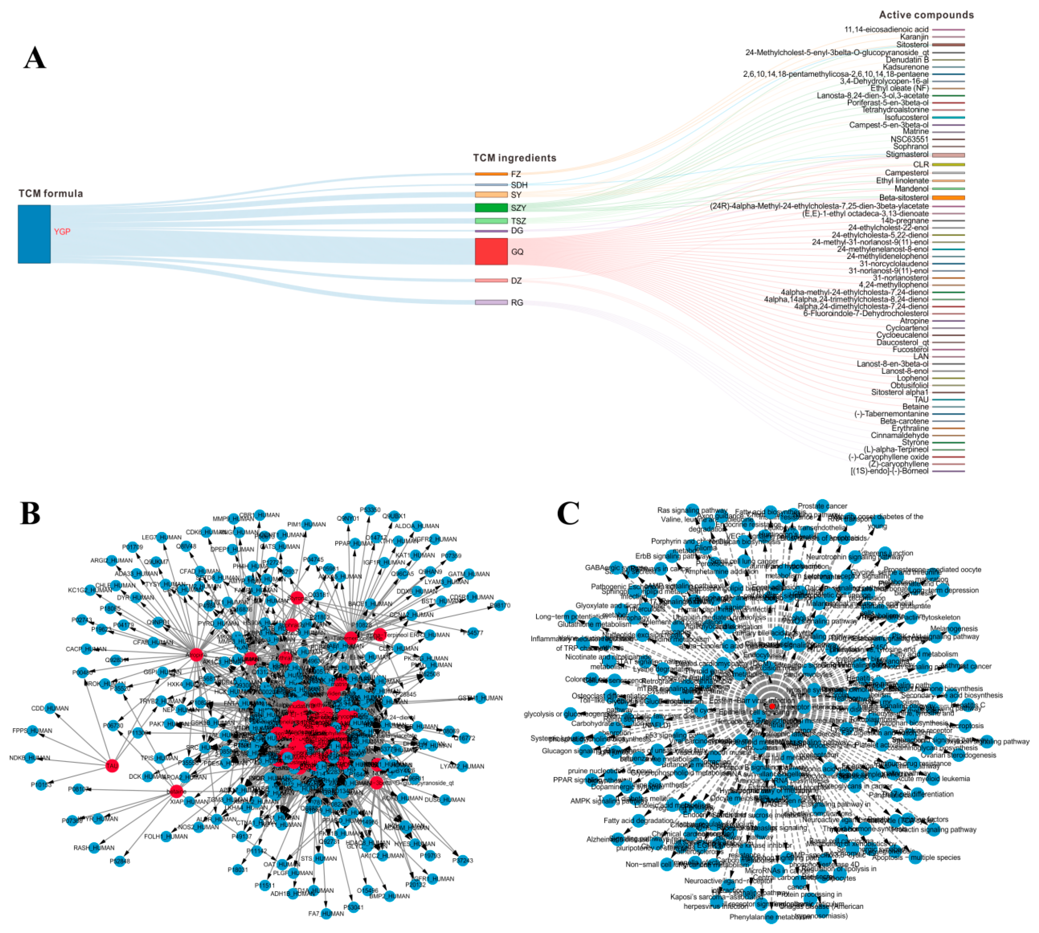 IJMS | Free Full-Text | Integrated Systems Pharmacology, Urinary