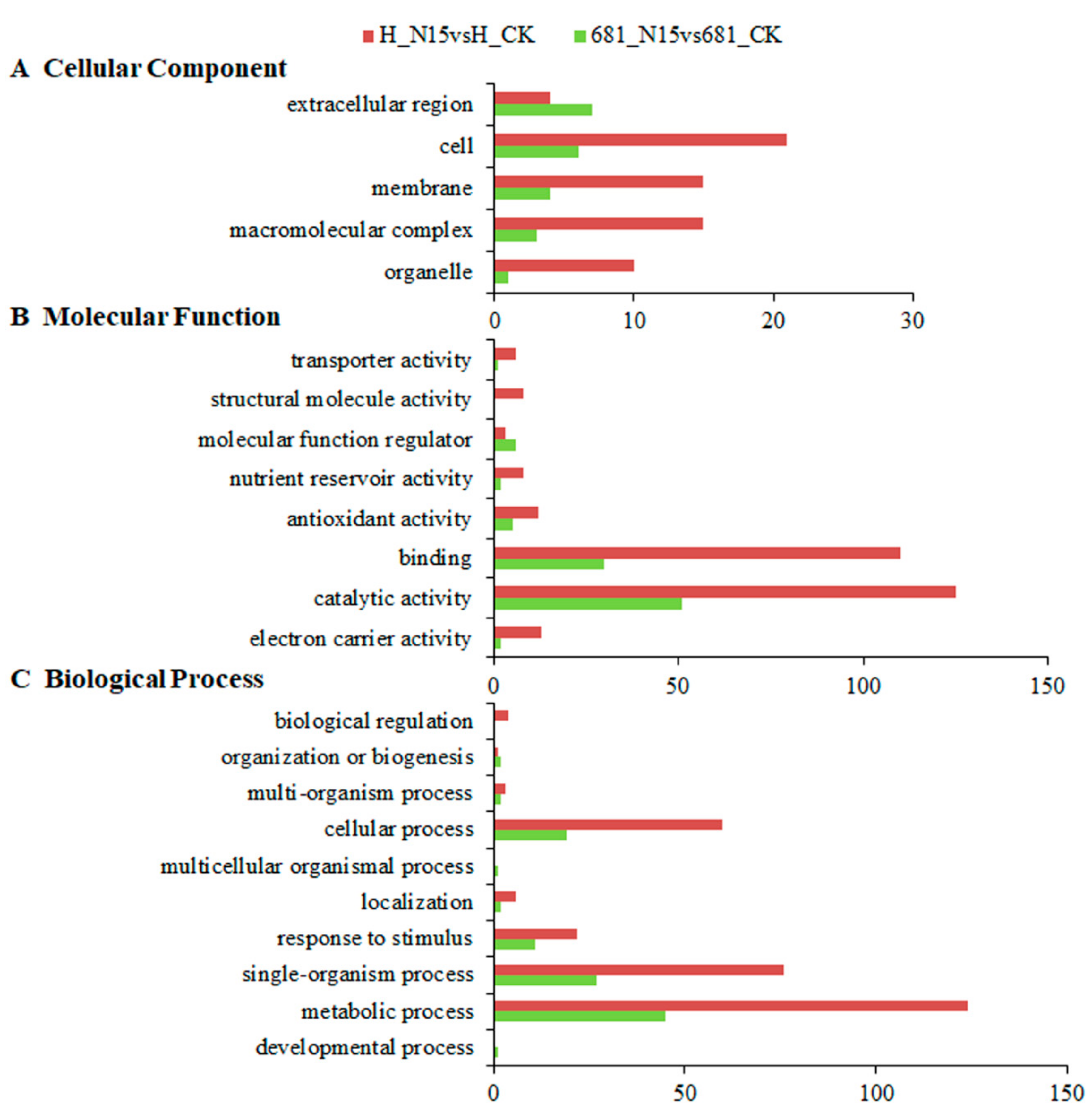 Ijms 20 03674 g004 Ijms 20 03674 g004