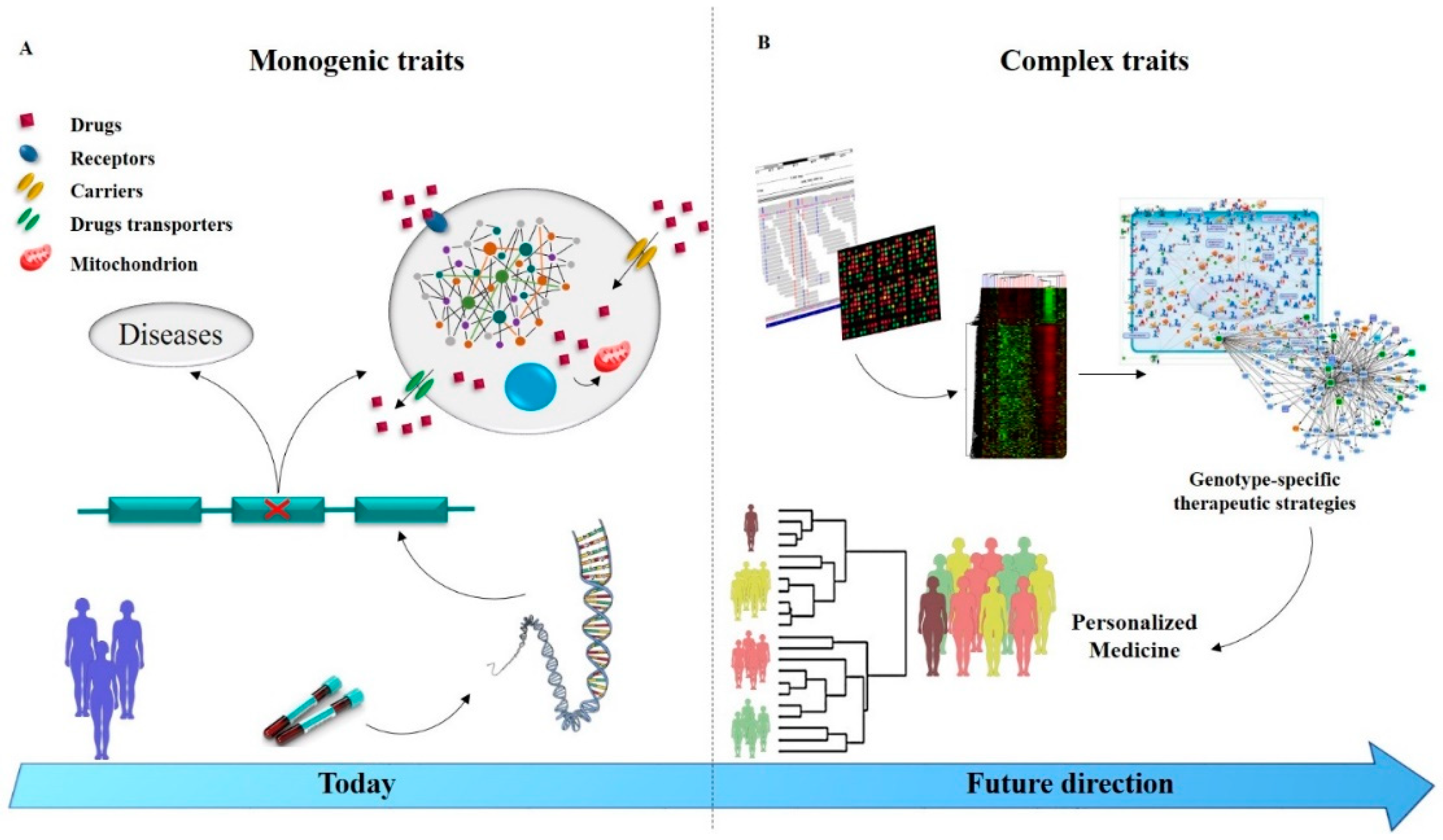 IJMS Free Full Text A Systems Biology Approach For Personalized Medicine In Refractory Epilepsy