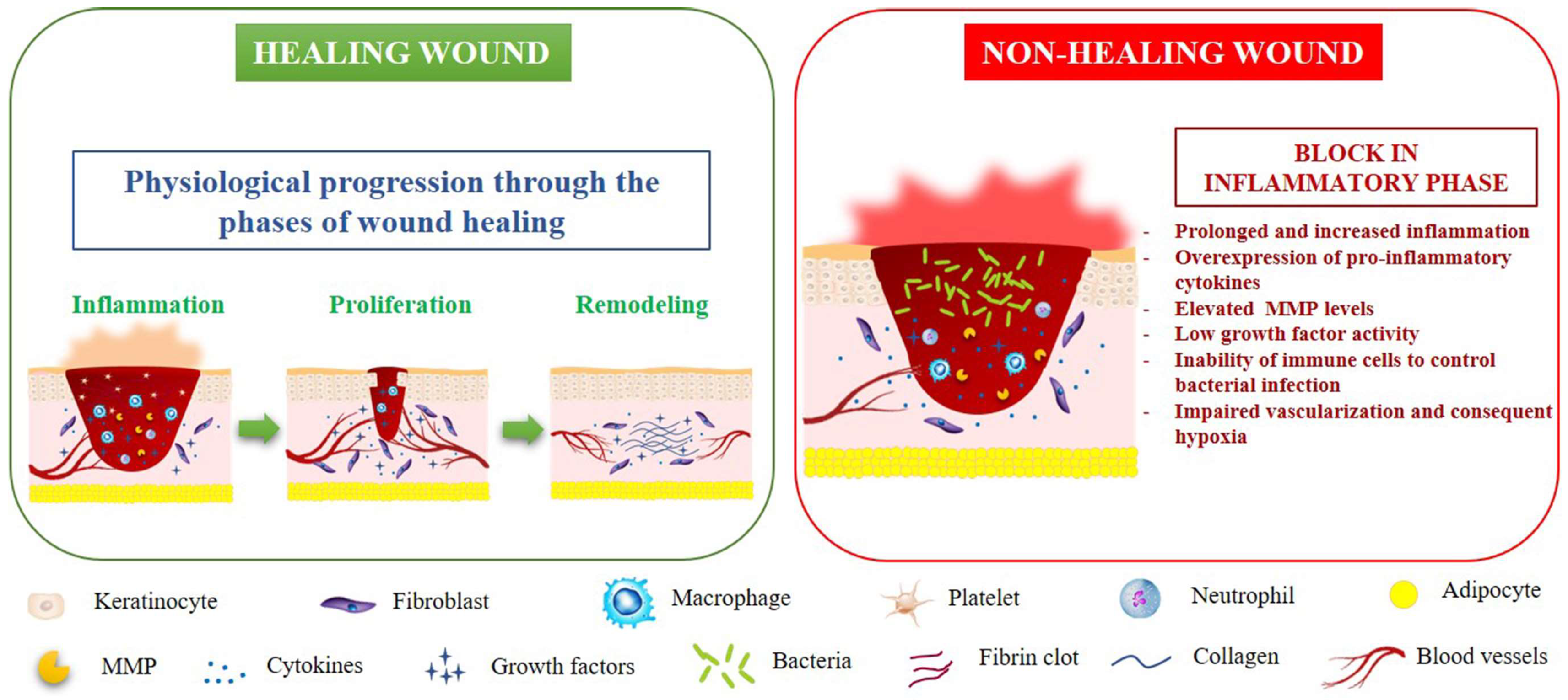 Healing перевод. Why chronic wounds will not Heal: a novel hypothesis.