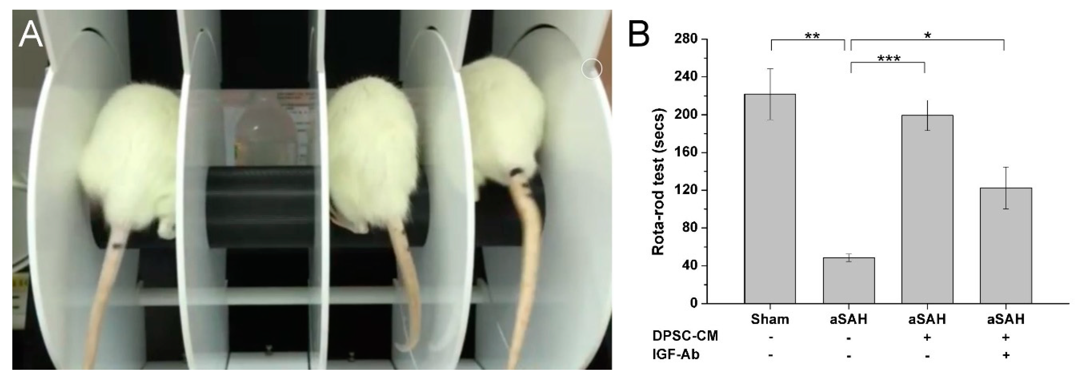 Ijms 20 03747 g007 Ijms 20 03747 g007